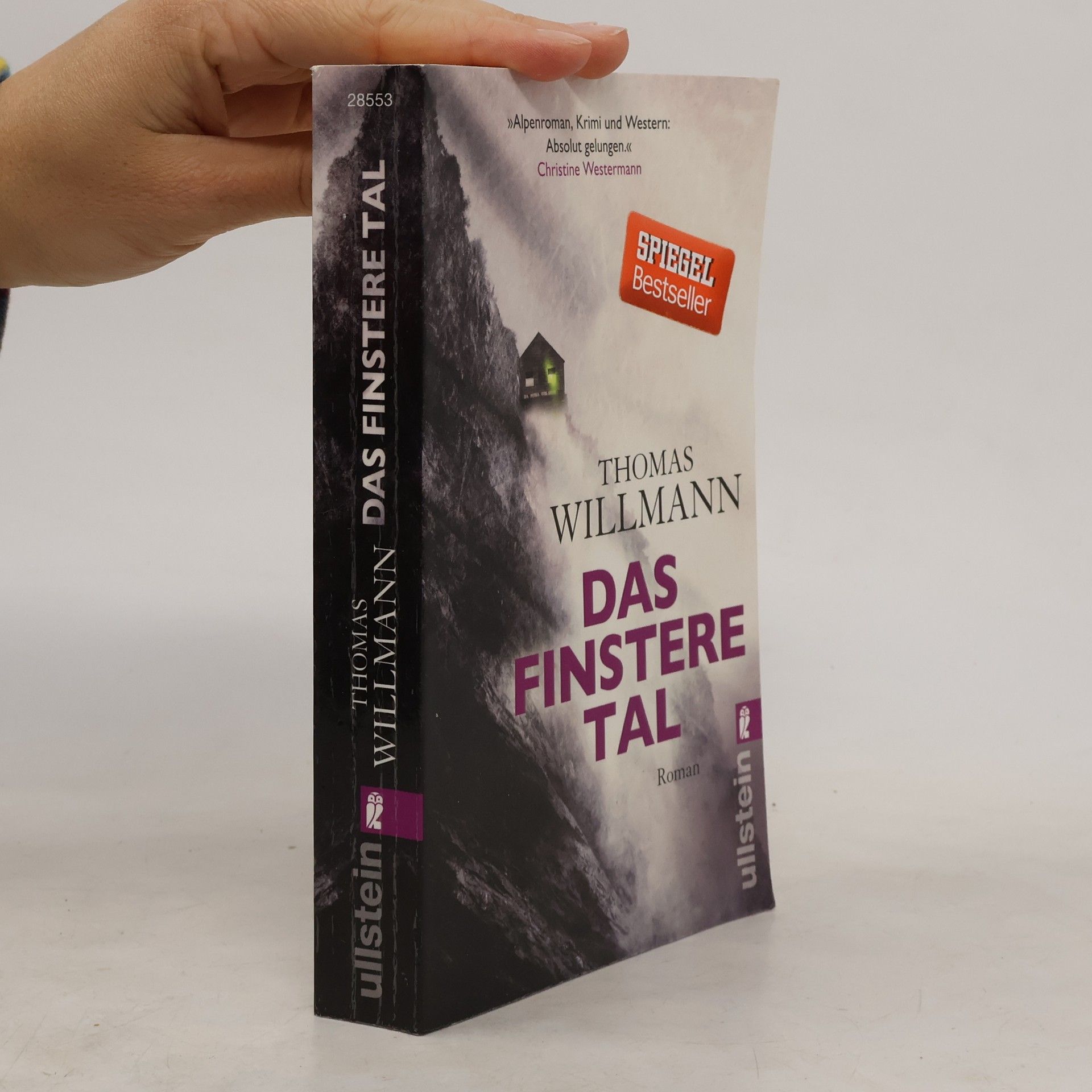 Thomas Willmann Das finstere Tal