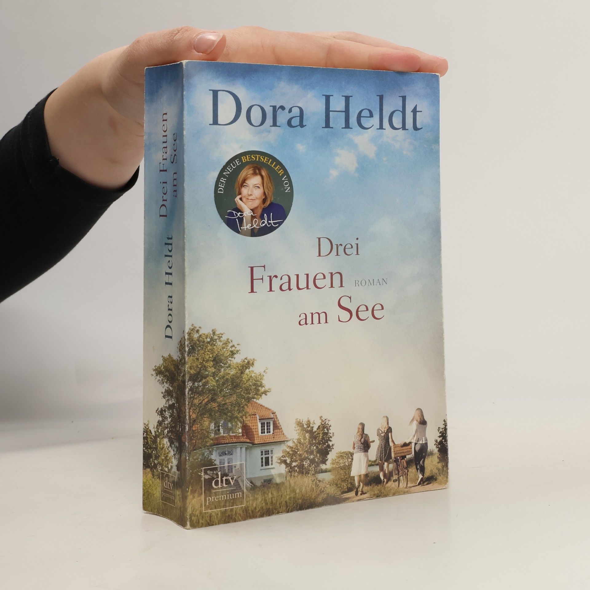 Dora Heldt Drei Frauen am See