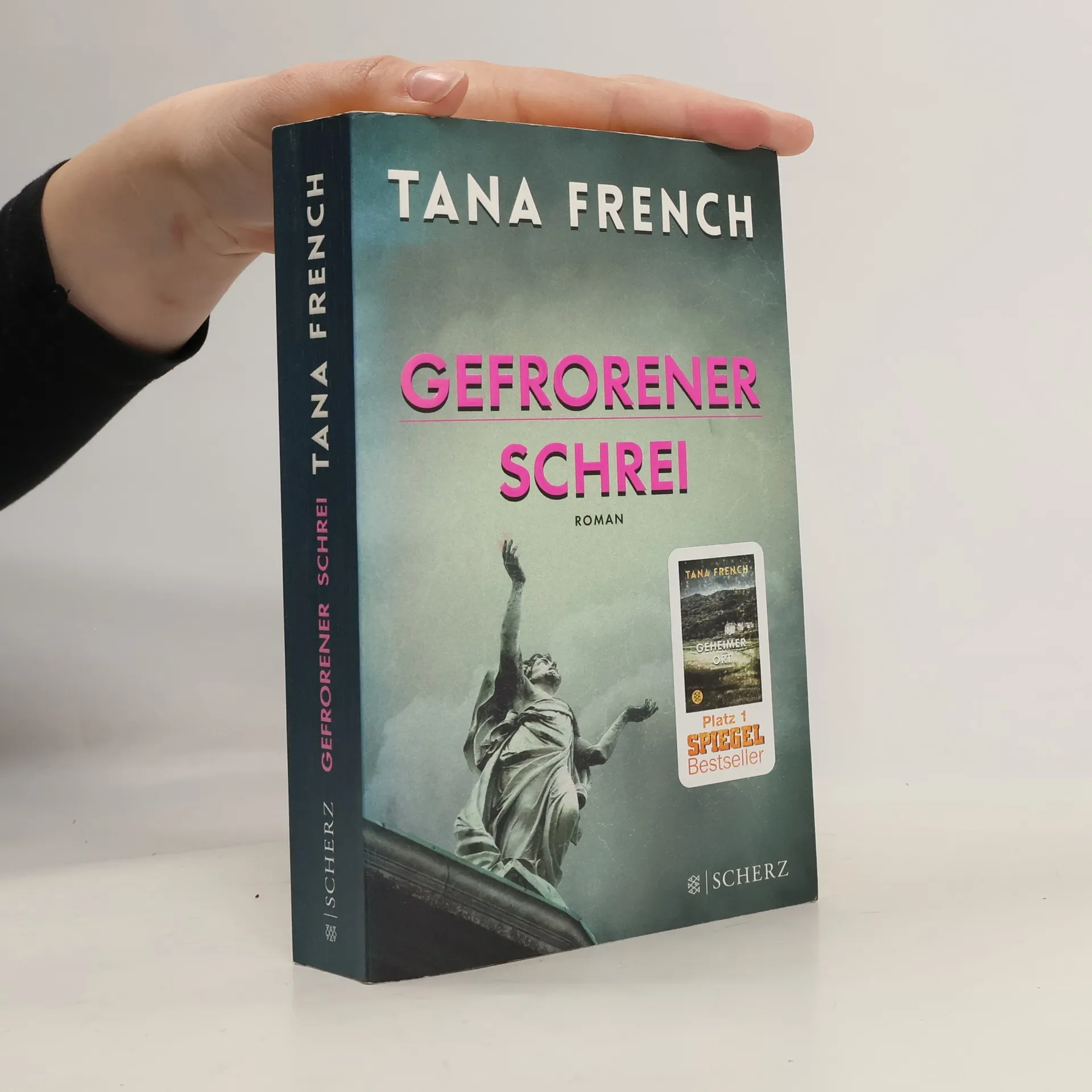 Gefrorener Schrei | Buch | Tana French