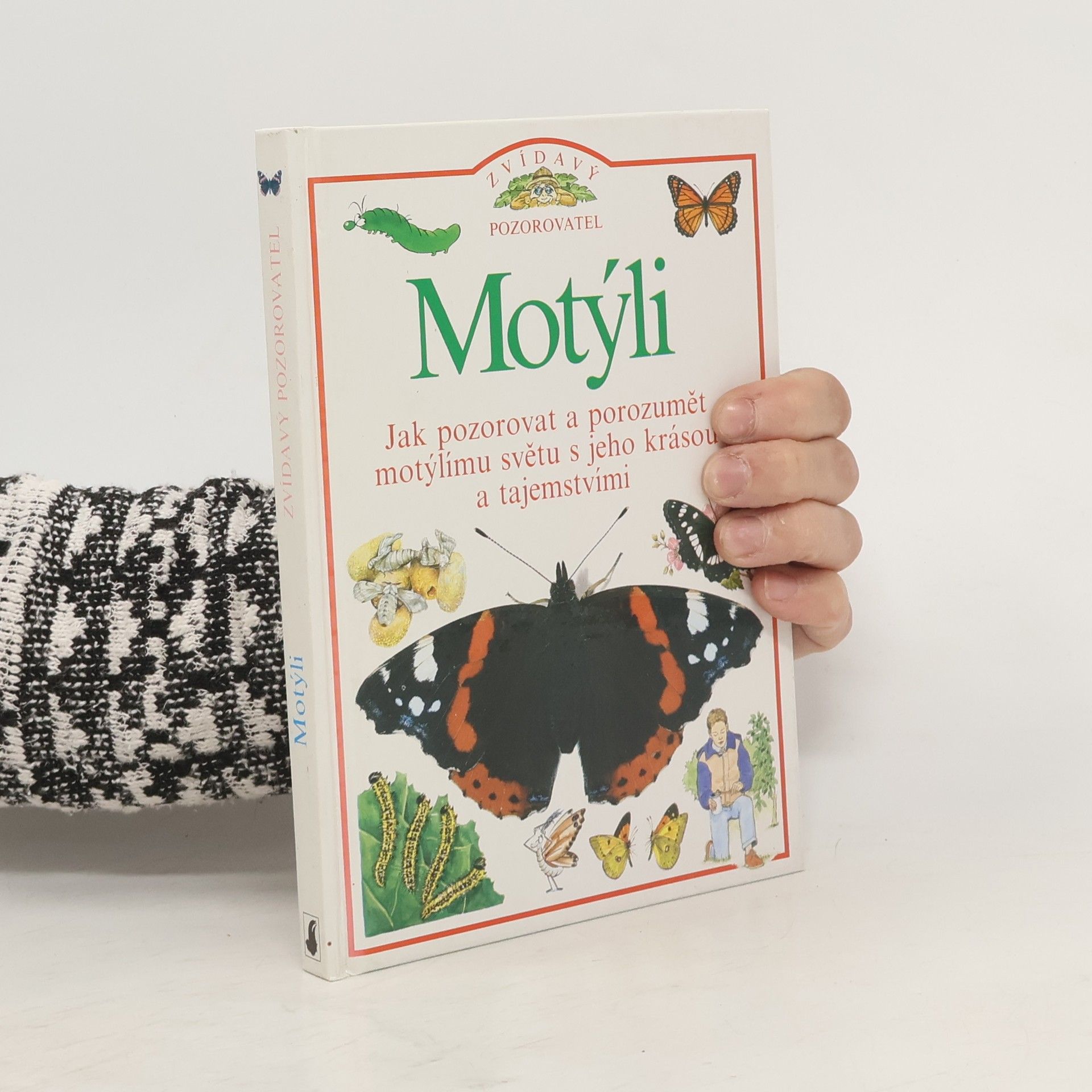 Collectif d'auteurs Motýli
