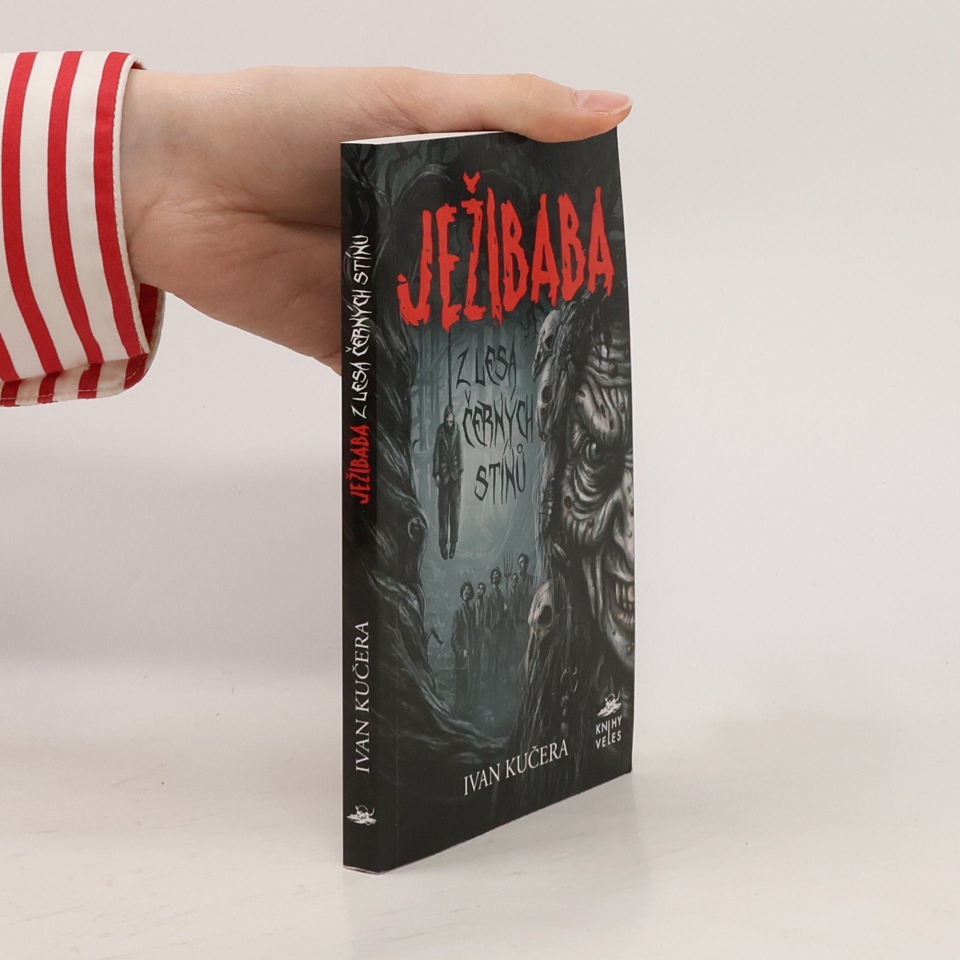 Ivan Kučera Ježibaba z Lesa černých stínů