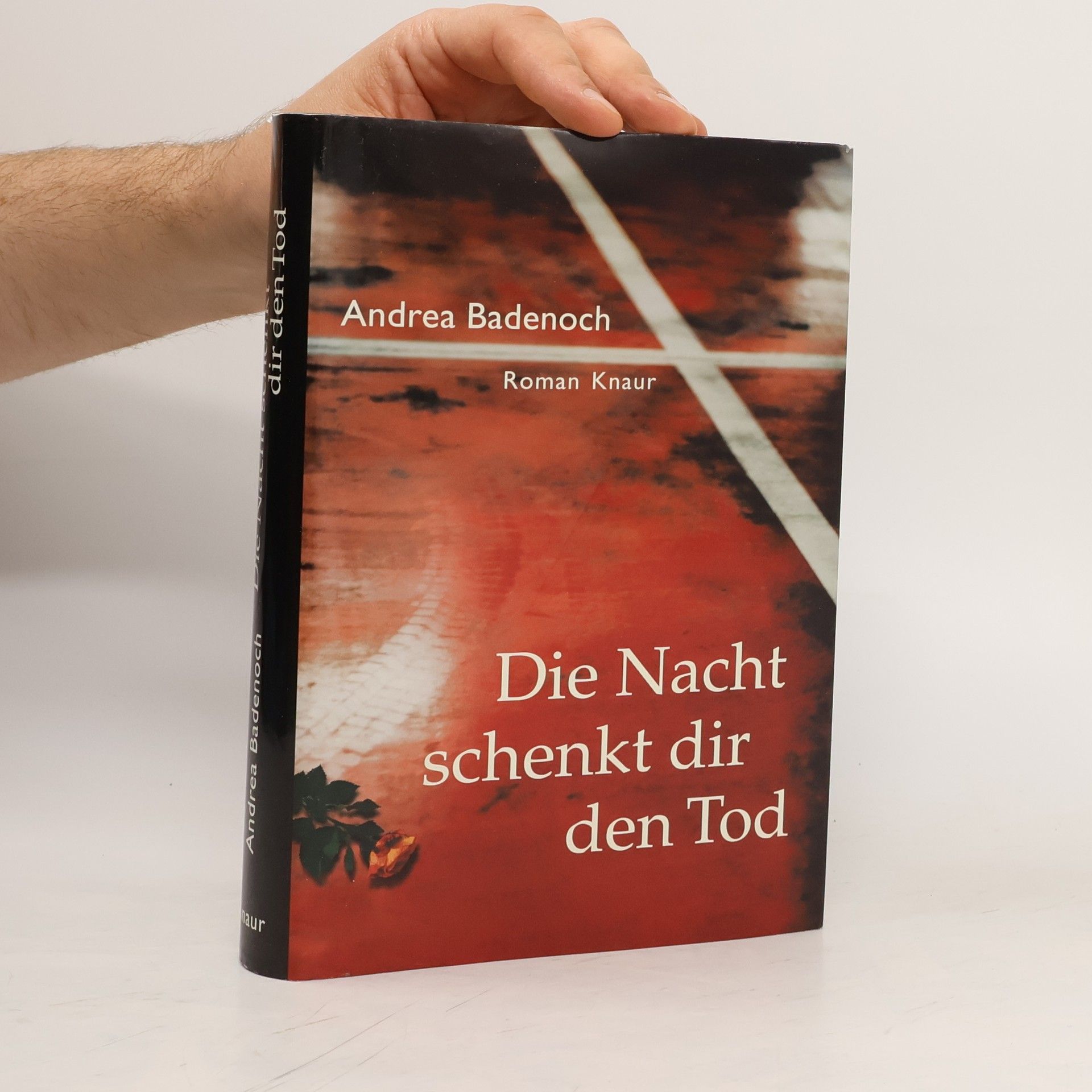 Andrea Badenoch Die Nacht schenkt