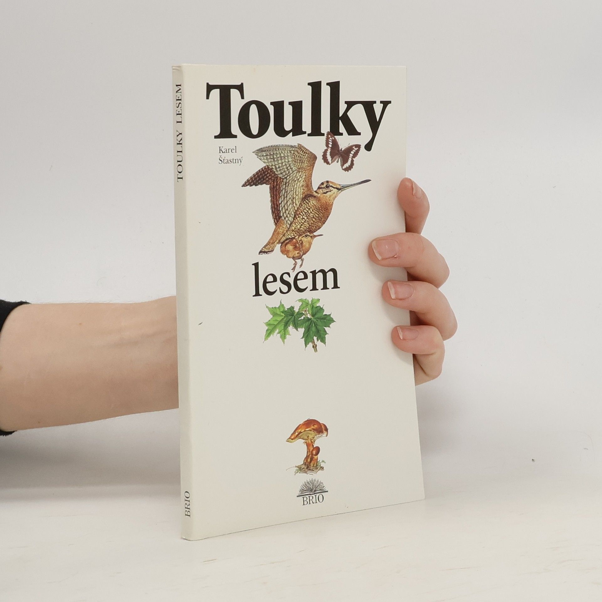 Karel Šťastný Toulky lesem