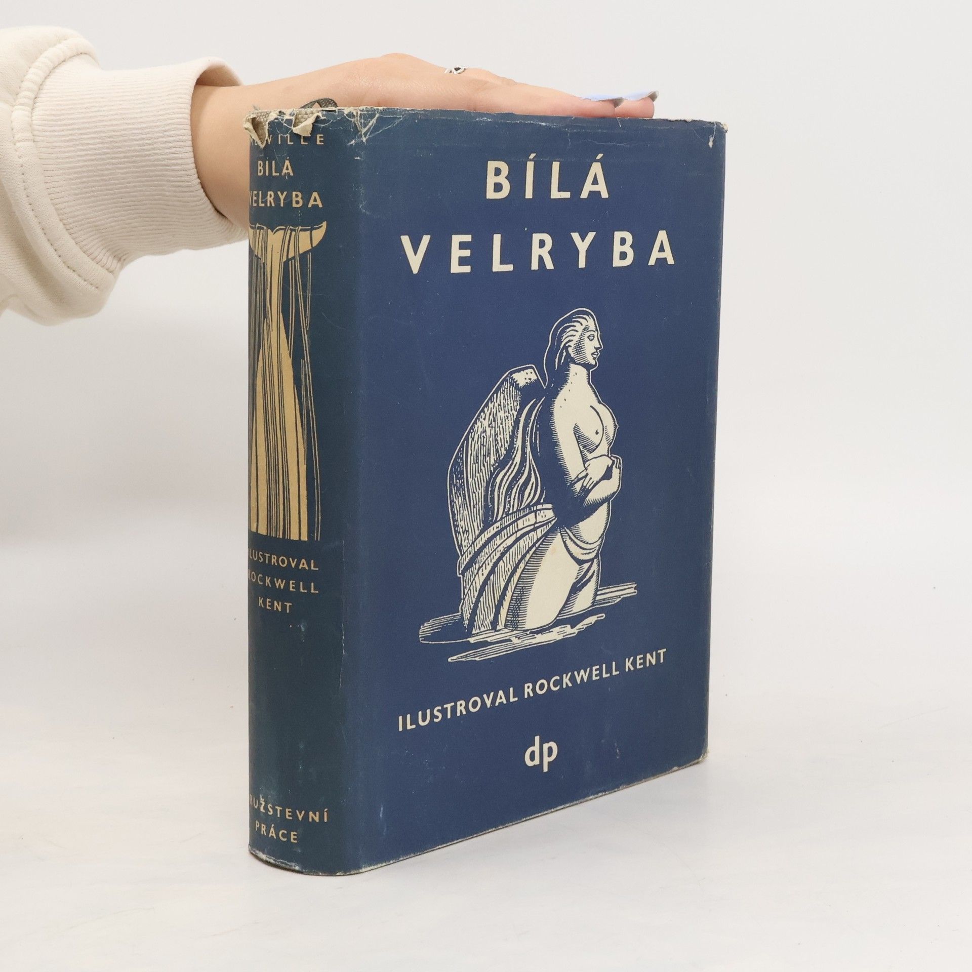 Herman Melville Bílá velryba