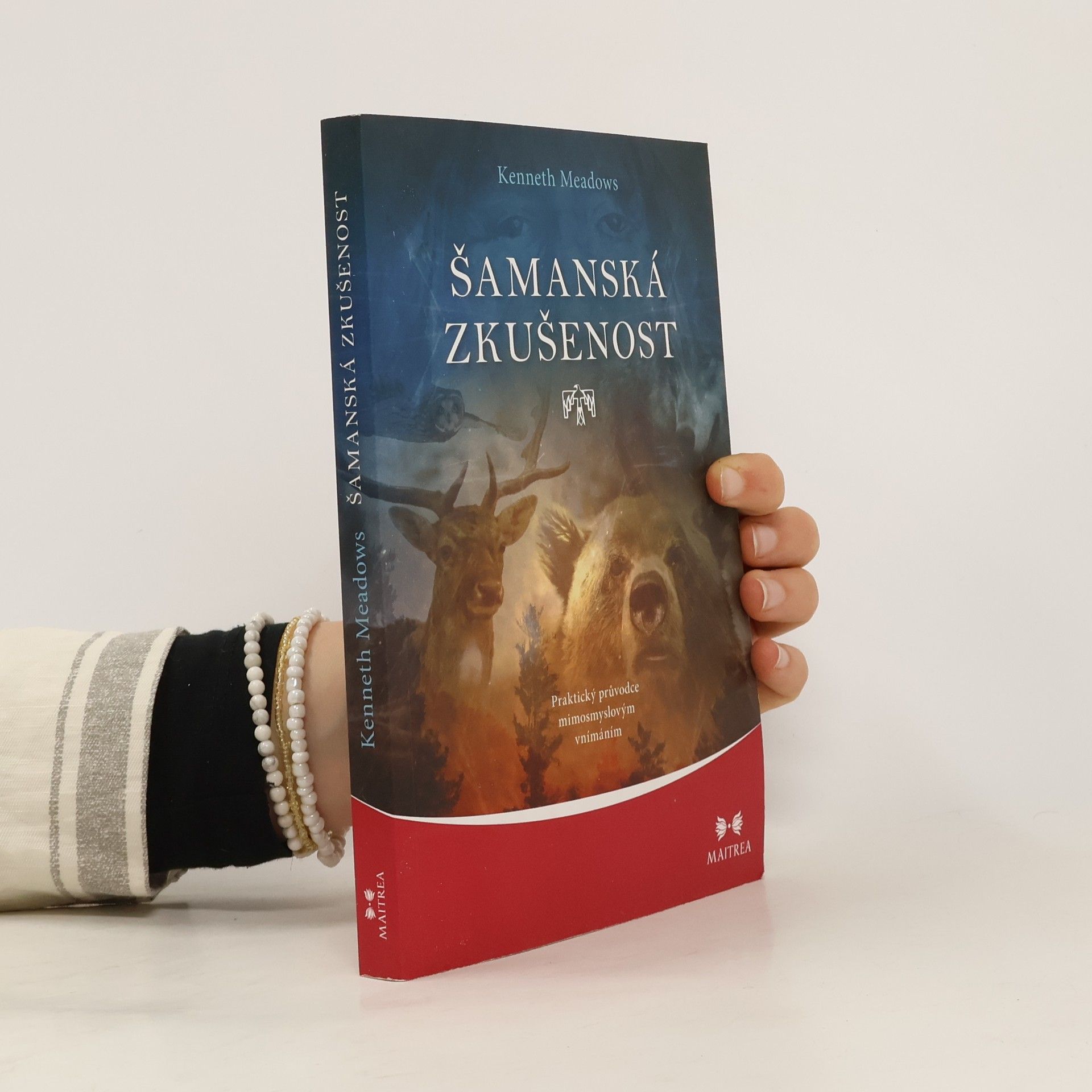 Kenneth Meadows Šamanská zkušenost - Praktický průvodce mimosmyslovým vnímáním