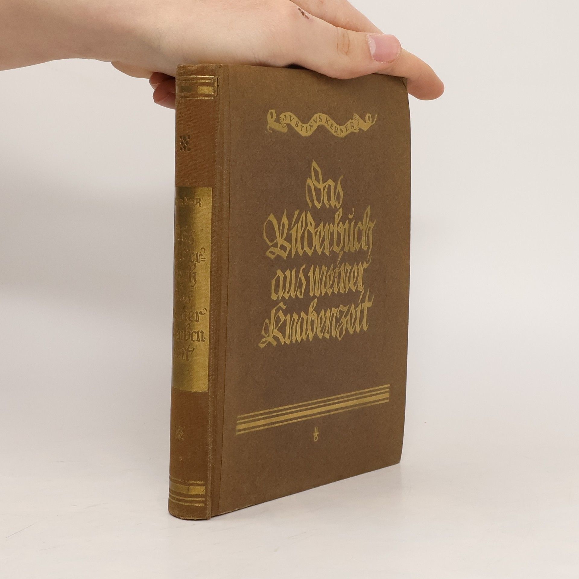 Justinus Kerner Das Bilderbuch aus meiner Knabenzeit