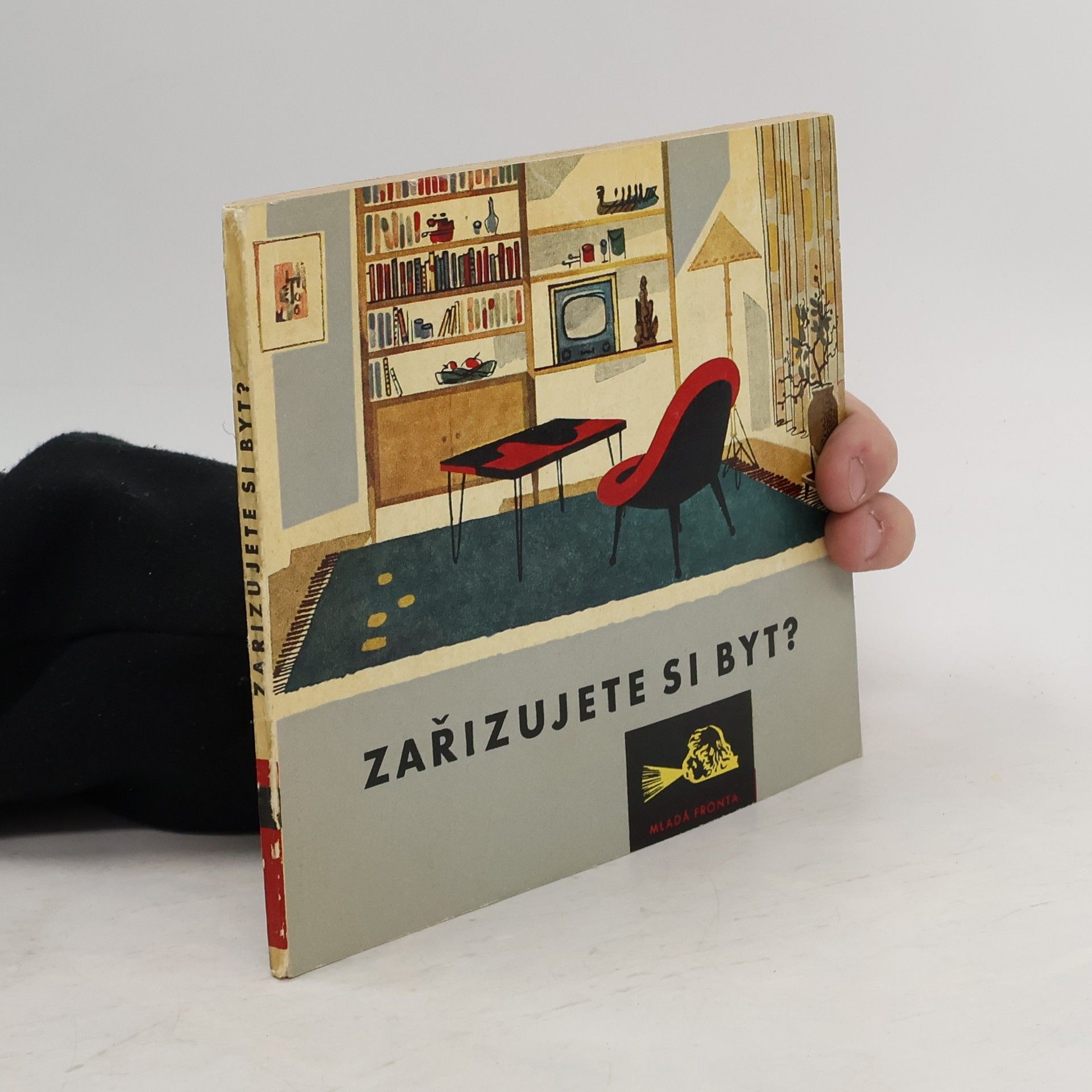 František Dvořák Zařizujete si byt?