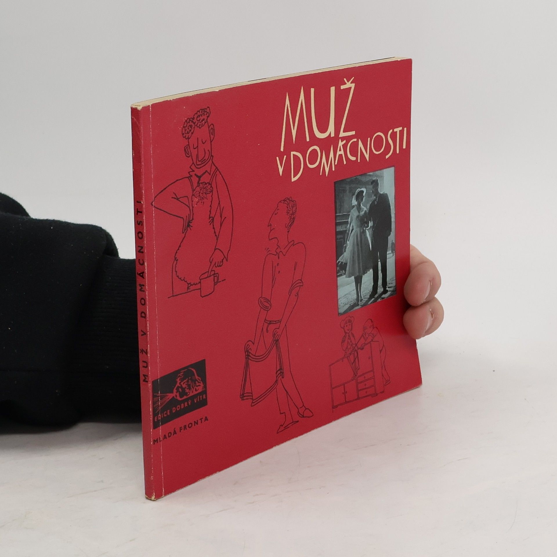 Collective Muž v domácnosti