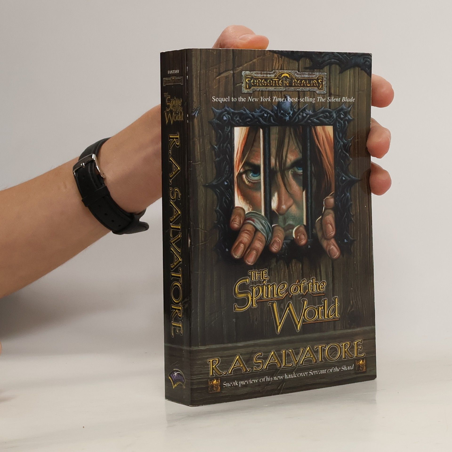 Robert Anthony Salvatore The Spine of the World