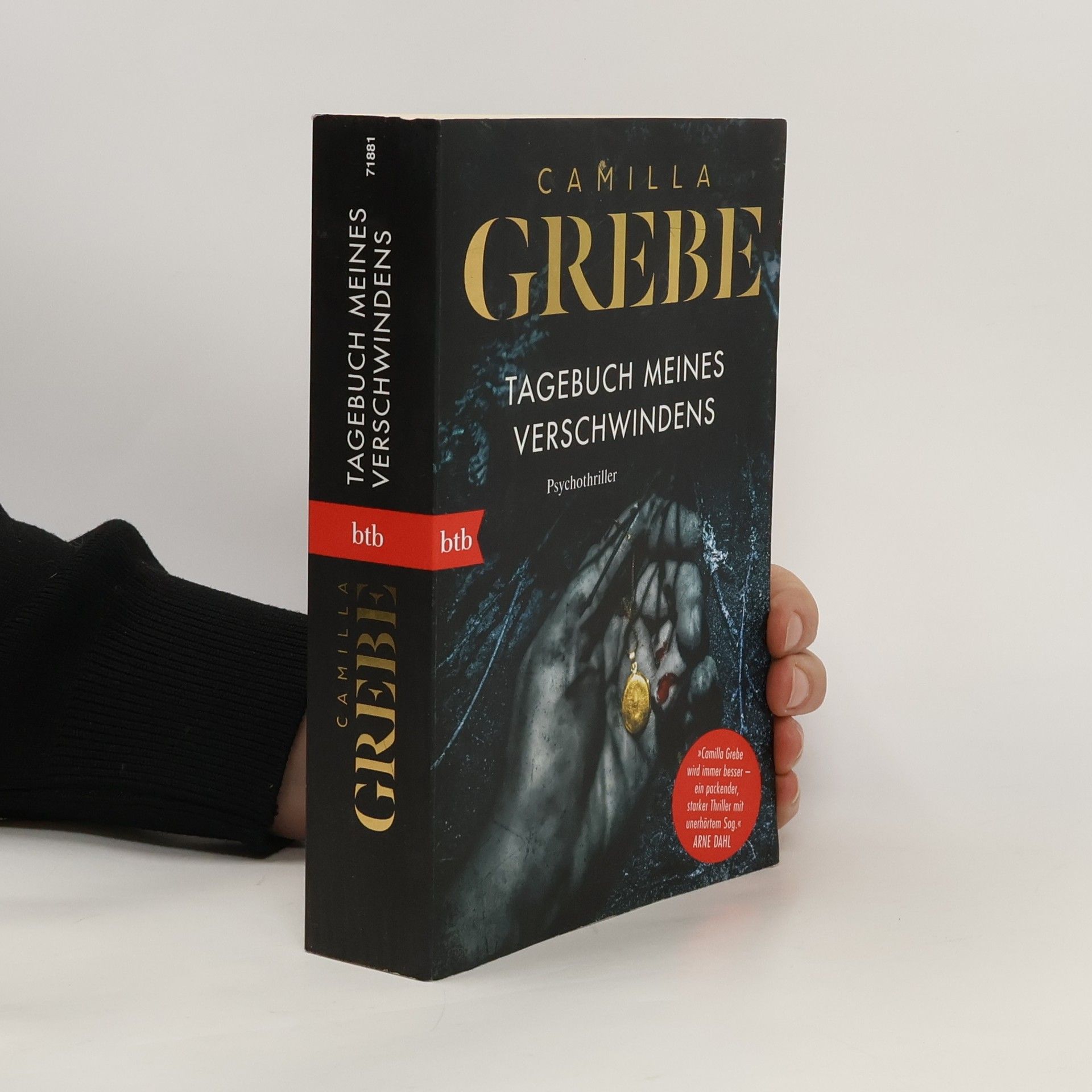Camilla Grebe Tagebuch meines Verschwindens