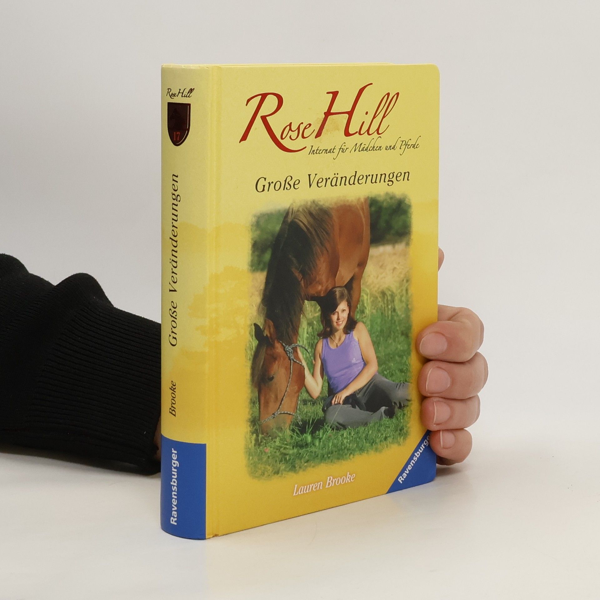Lauren Brooke Große Veränderungen. Rose Hill 17