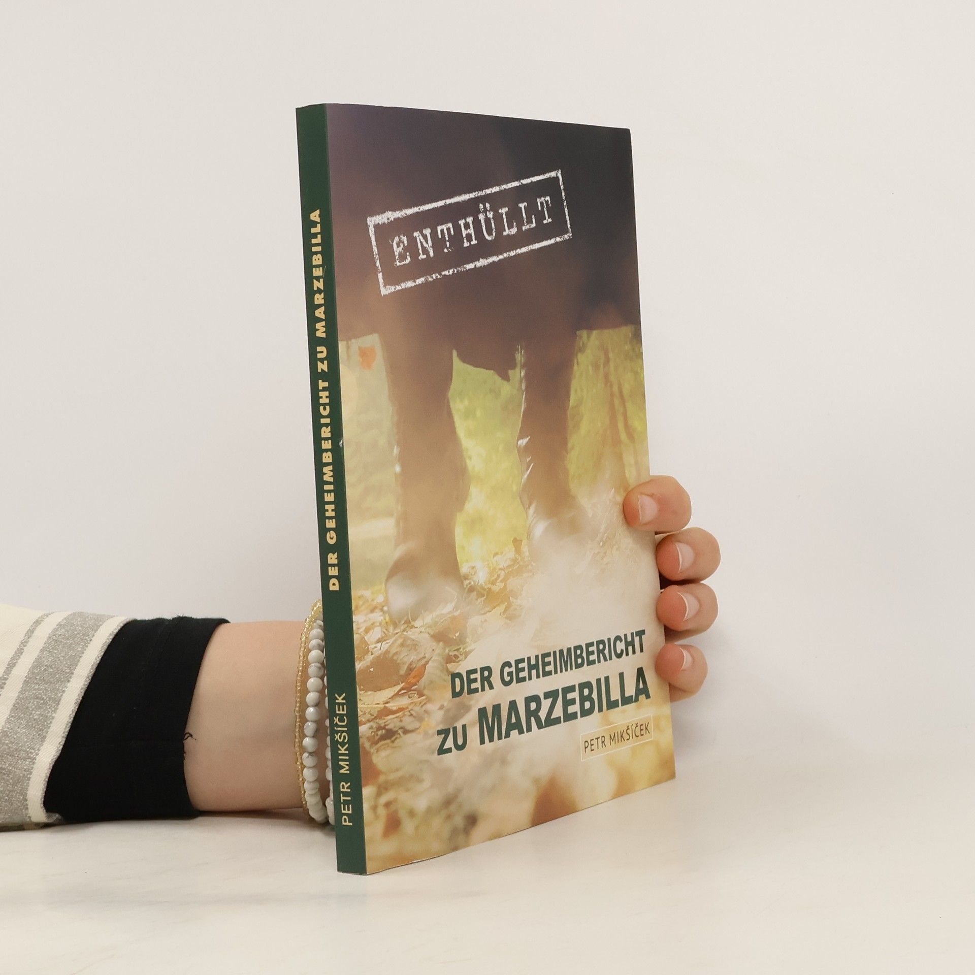 Petr Mikšíček Der Geheimbericht zu Marzebilla