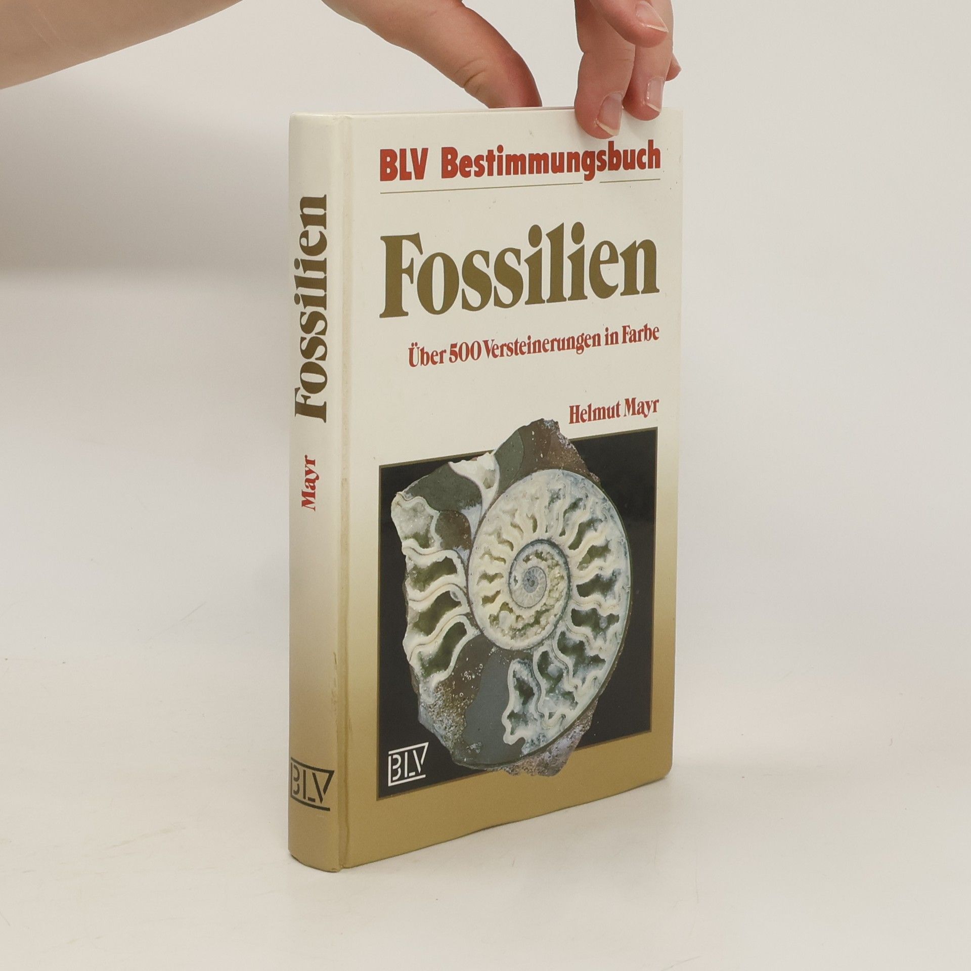 Helmut Mayr Fossilien