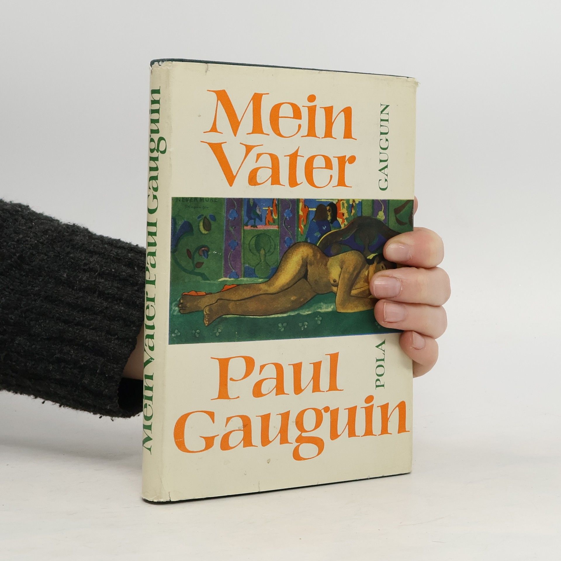 Pola Gauguin Mein Vater Paul Gauguin