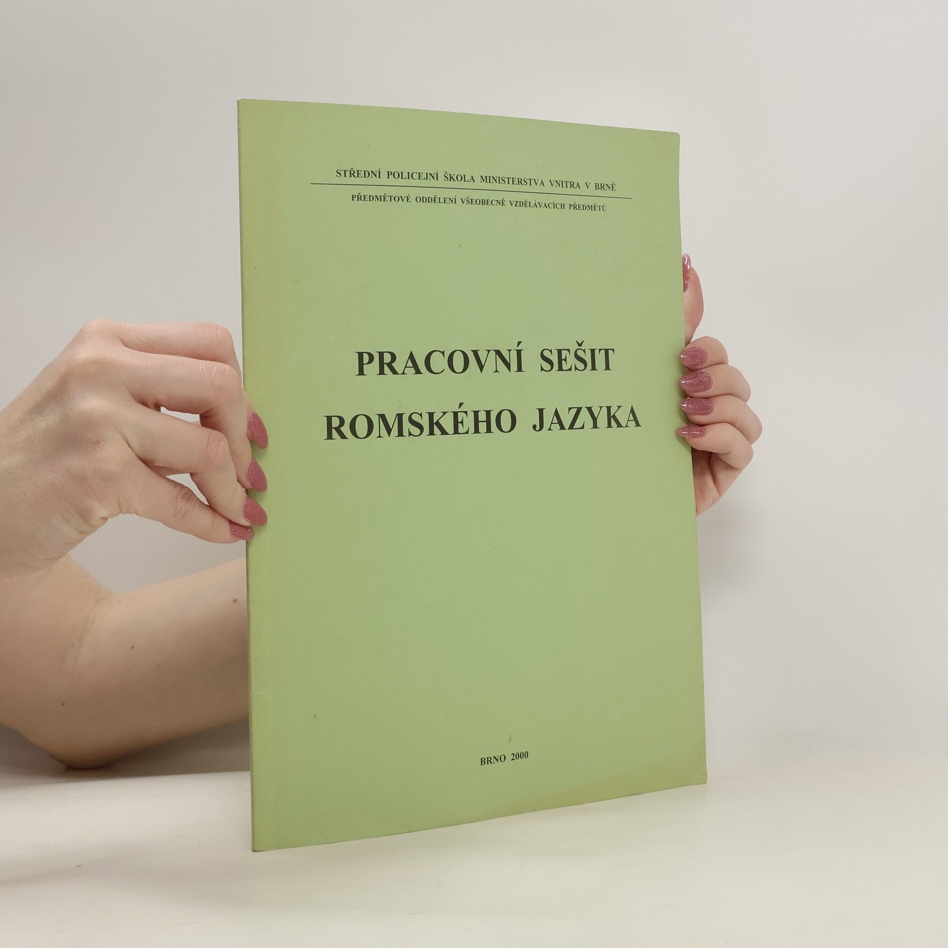 Autorenkollektiv Pracovní sešit romského jazyka