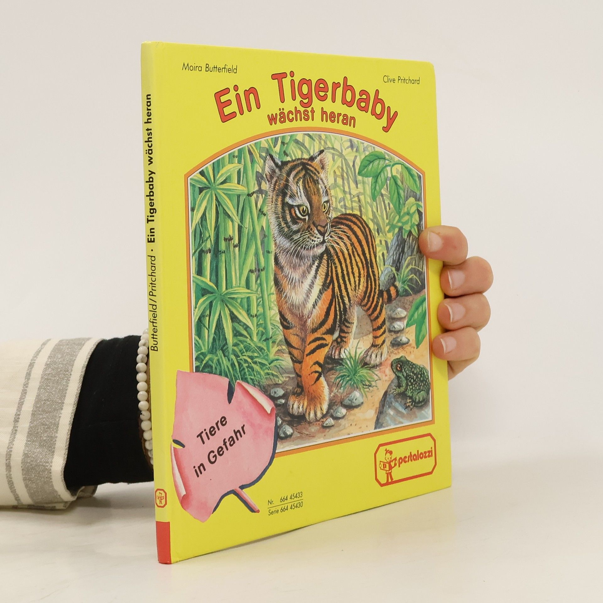 Maria Butterfield Ein Tigerbaby wächst heran