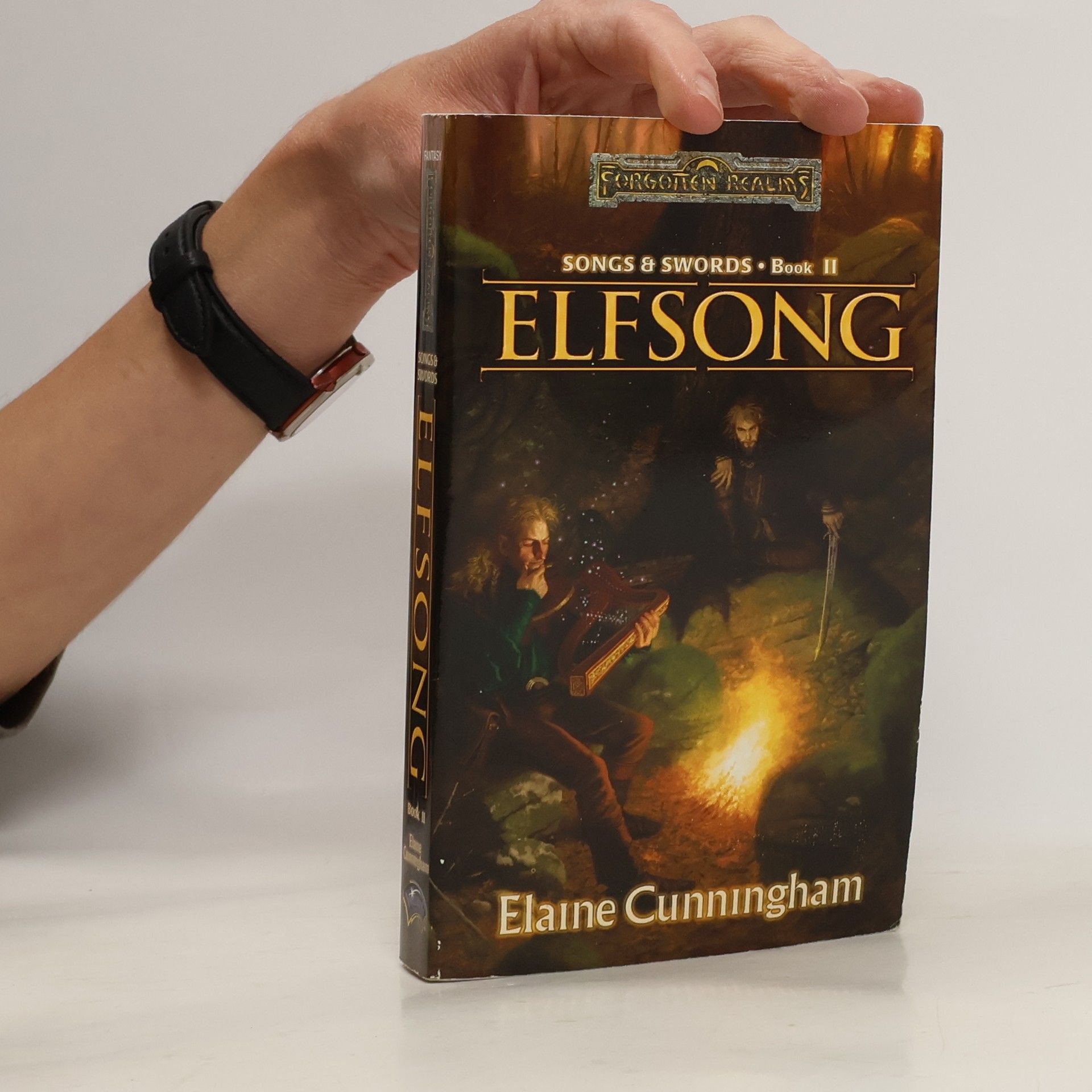 Elaine Cunningham Elfsong