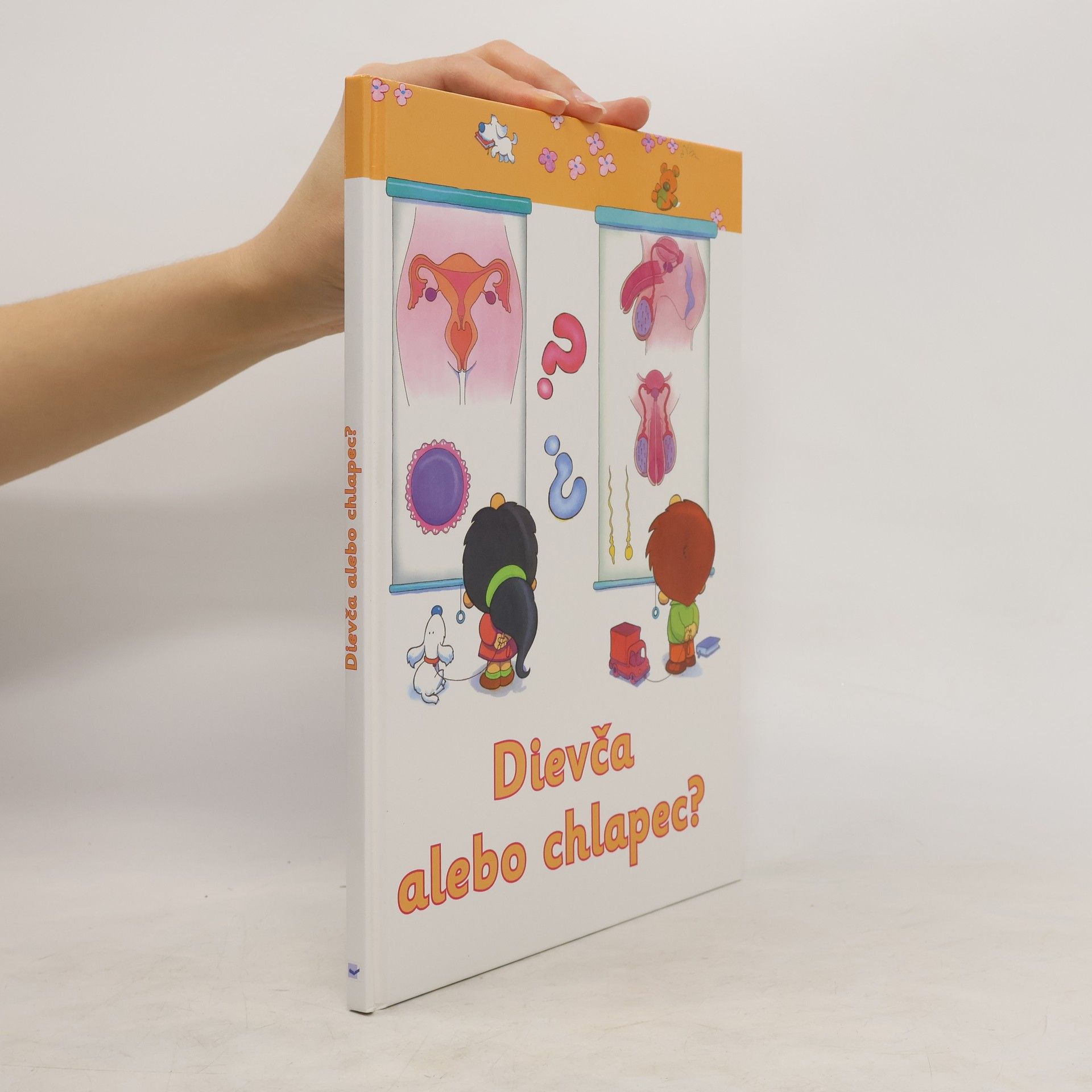 Collectif d'auteurs Dievča alebo chlapec?