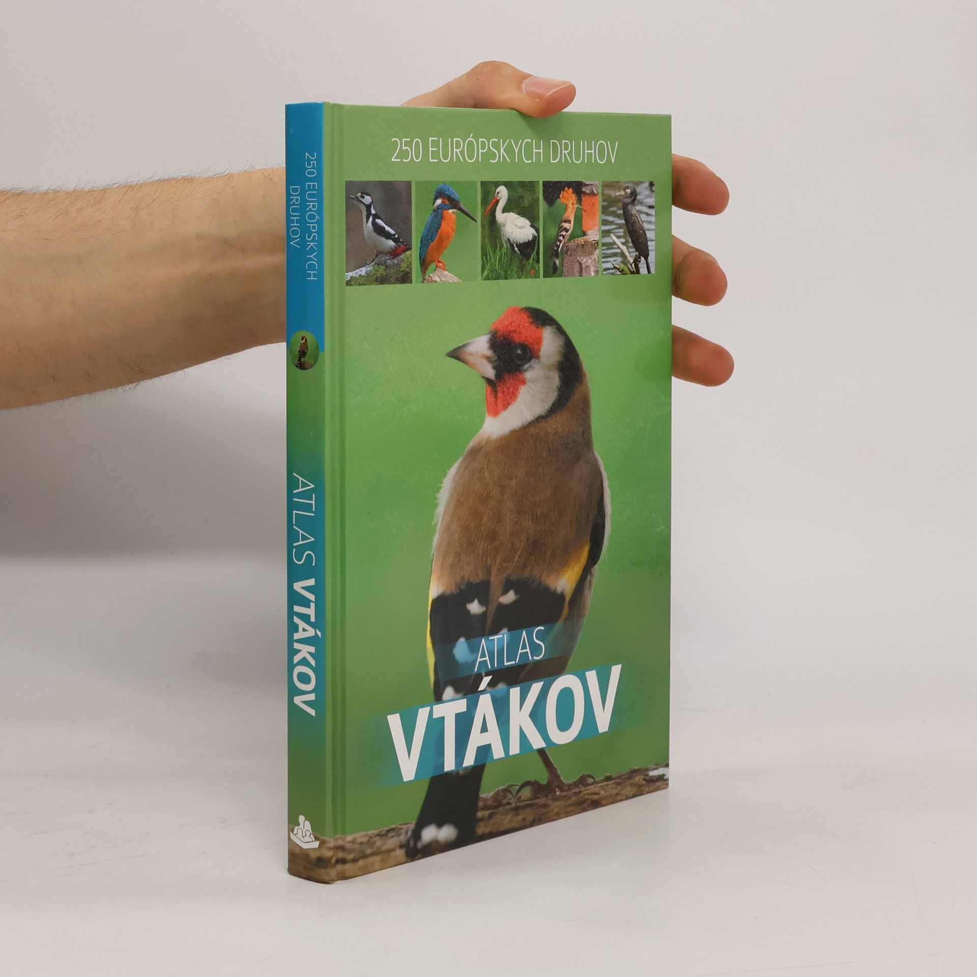 Dominik Marchowski Atlas vtákov. 250 európskych druhov.