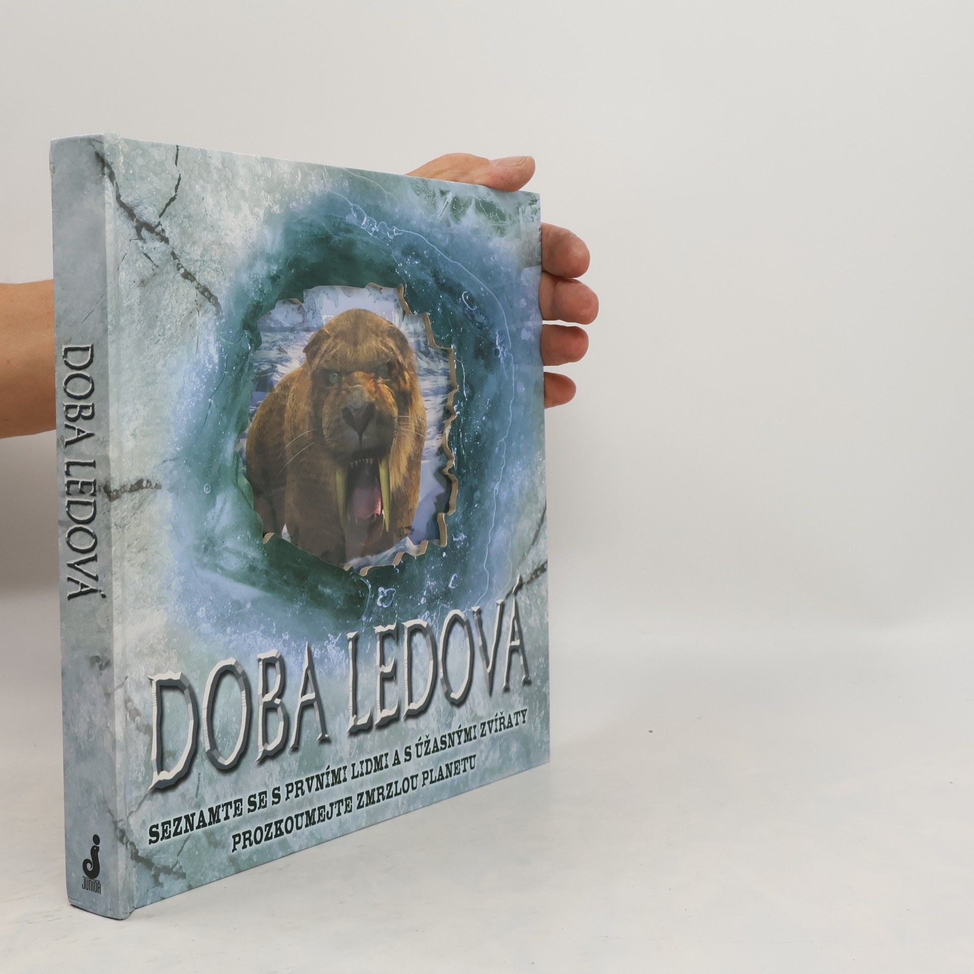 Stewart Ross Doba ledová: Seznamte se s prvními lidmi a s úžasnými zvířaty, prozkoumejte zmrzlou planetu