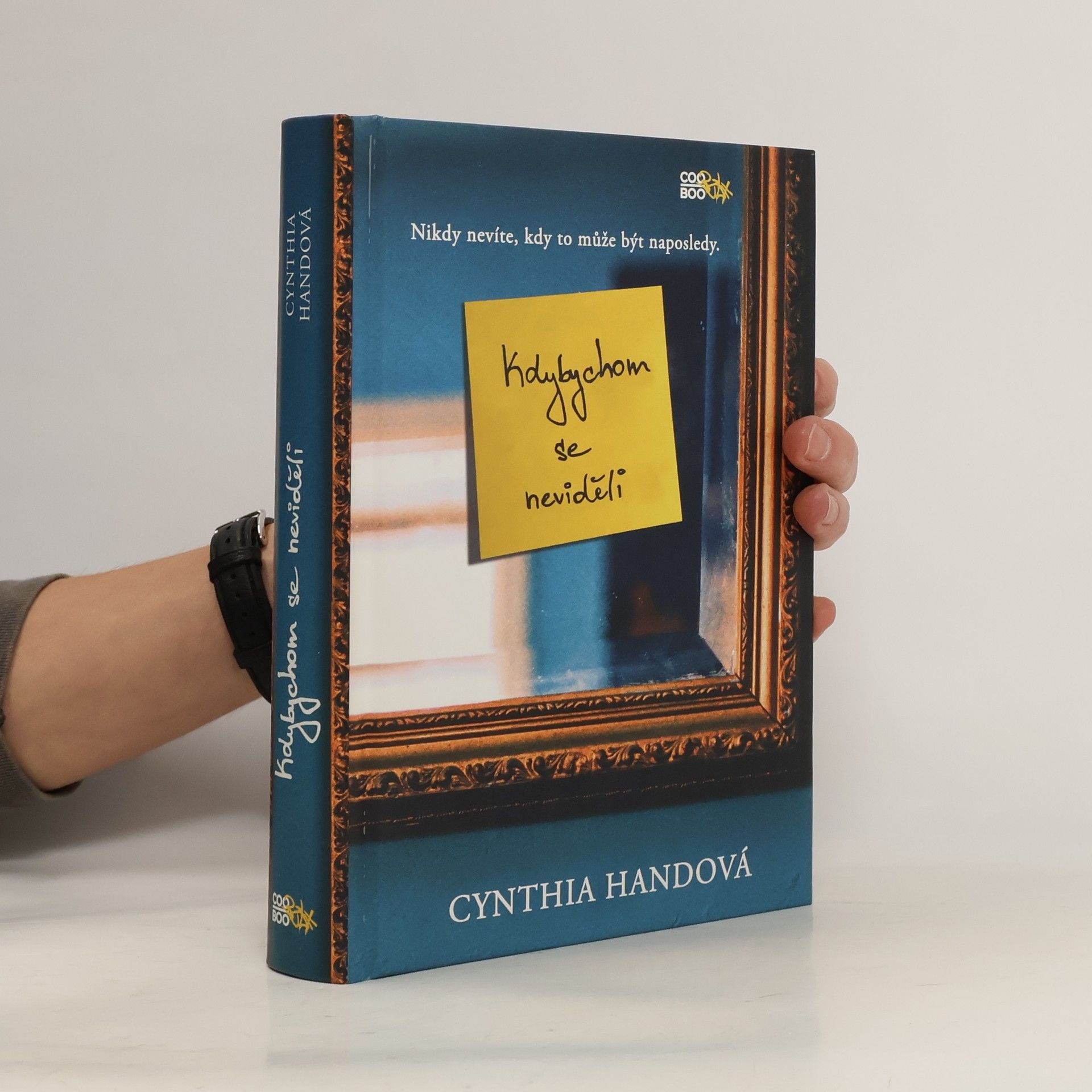 Cynthia Hand Kdybychom se neviděli