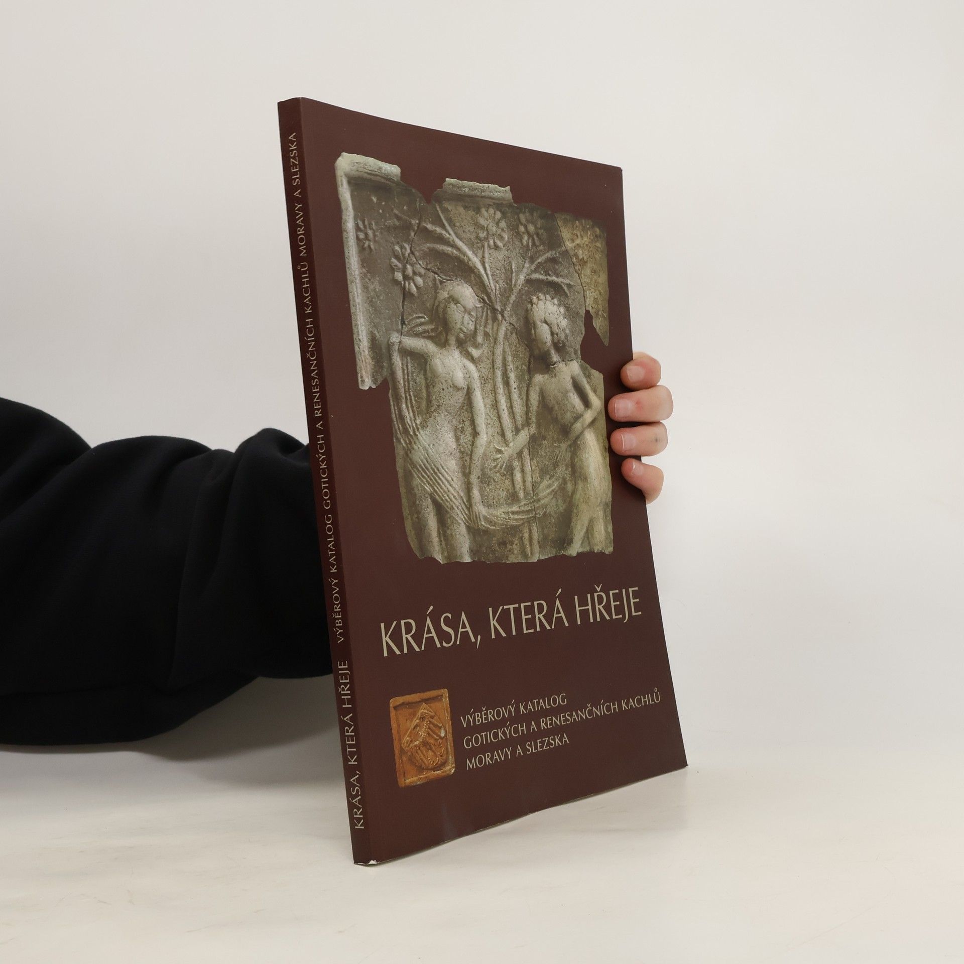 Dana Menoušková Krása, která hřeje : Výběrový katalog gotických a renesančních kachlů Moravy a Slezska