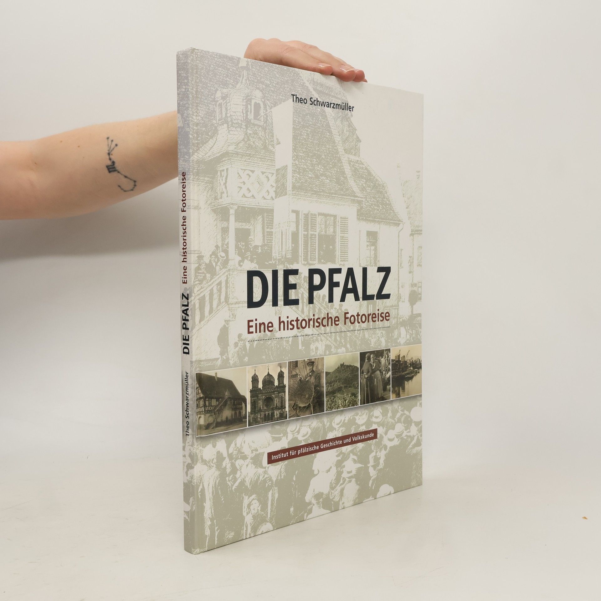 Theo Schwarzmüller Die Pfalz