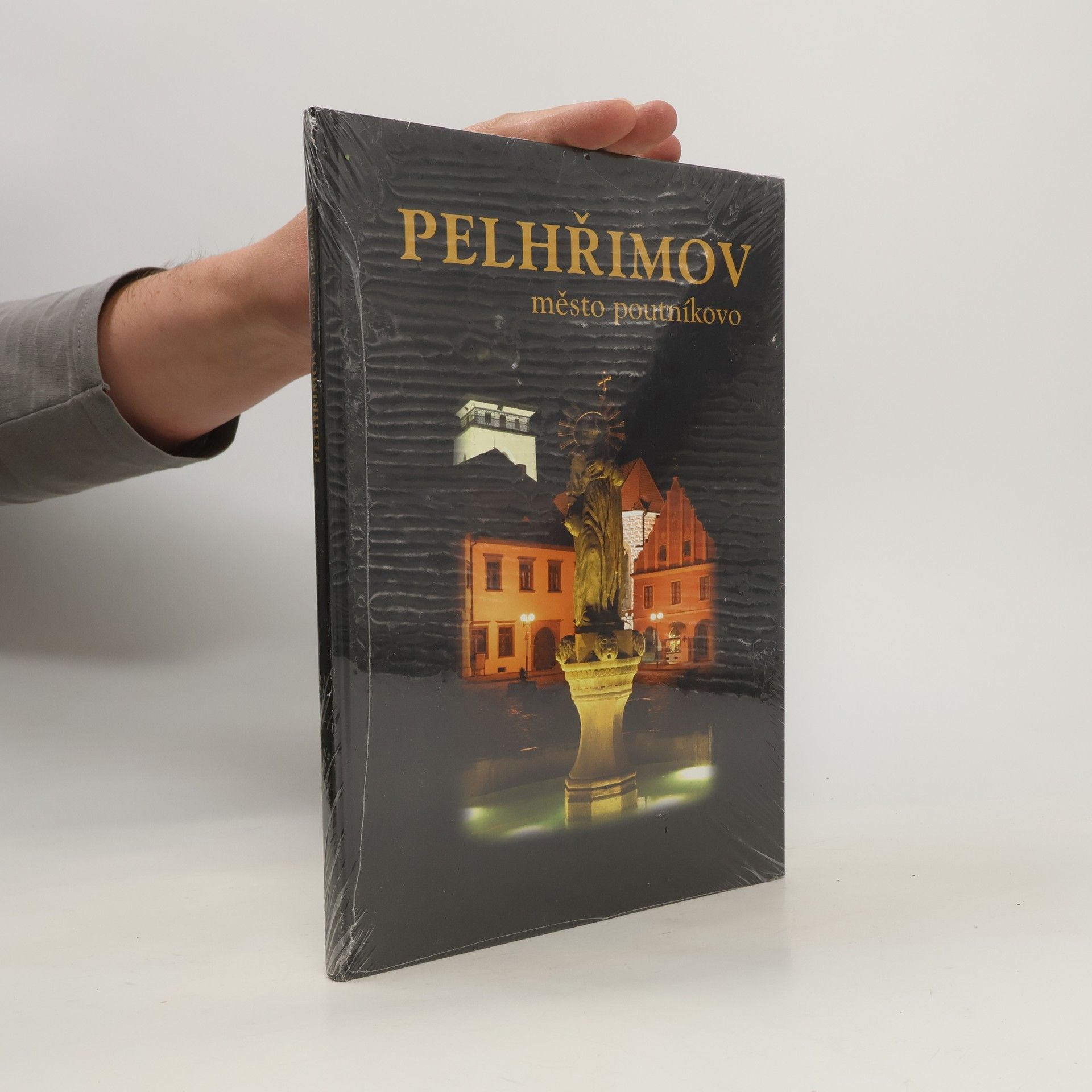 Zdeněk Martínek Pelhřimov - město poutníkovo