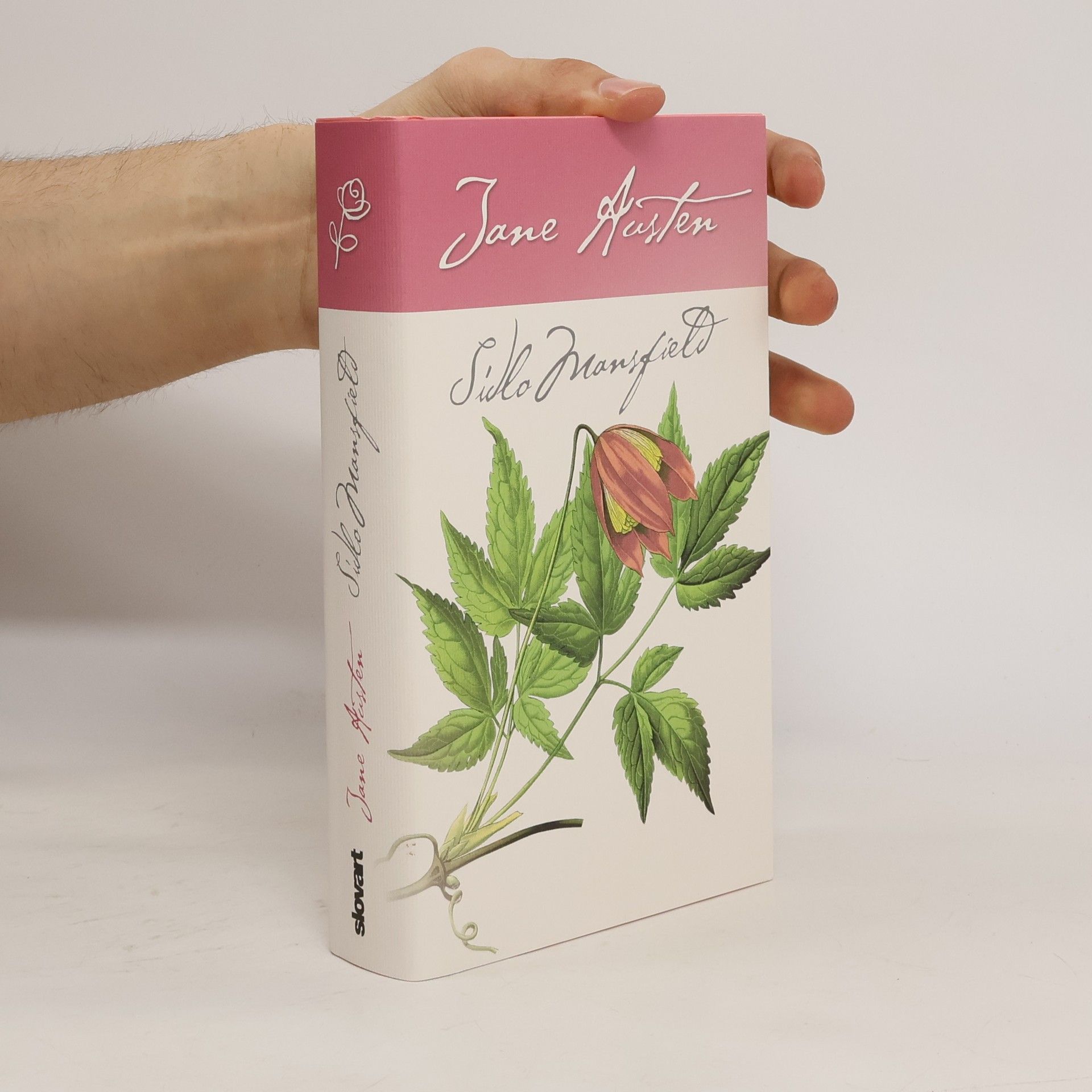 Jane Austen Sídlo Mansfield