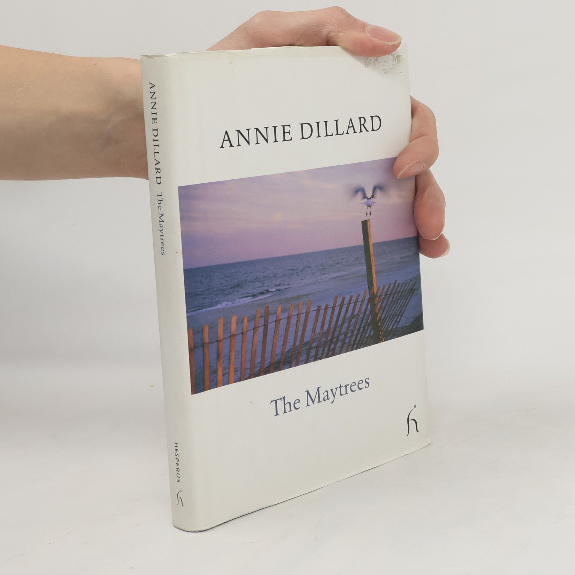 Annie Dillard The Maytrees