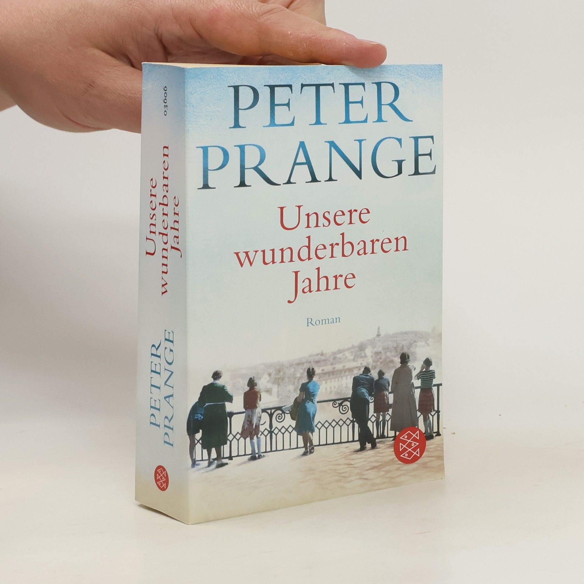 Peter Prange Unsere wunderbaren Jahre