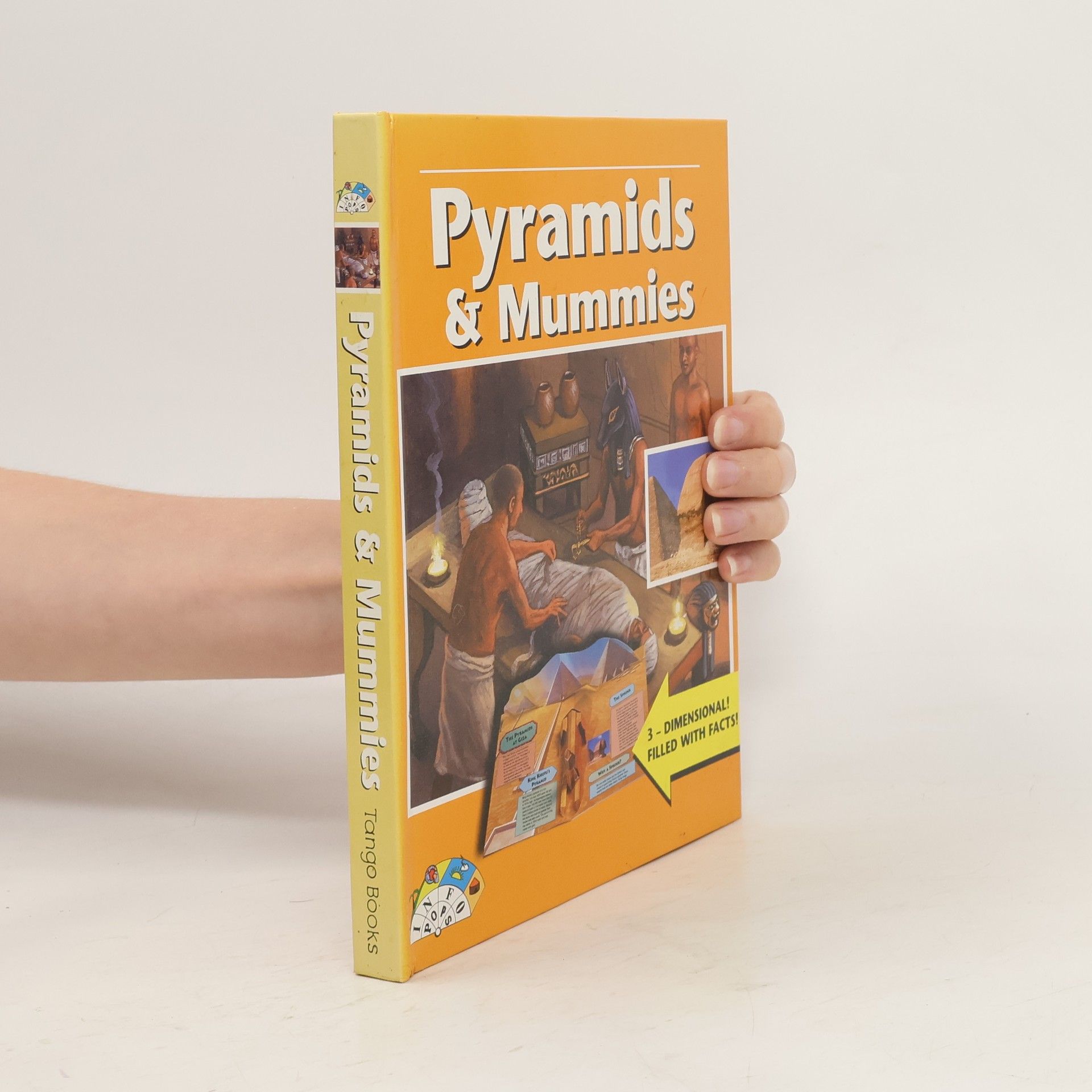 AA.VV. Pyramids and Mummies