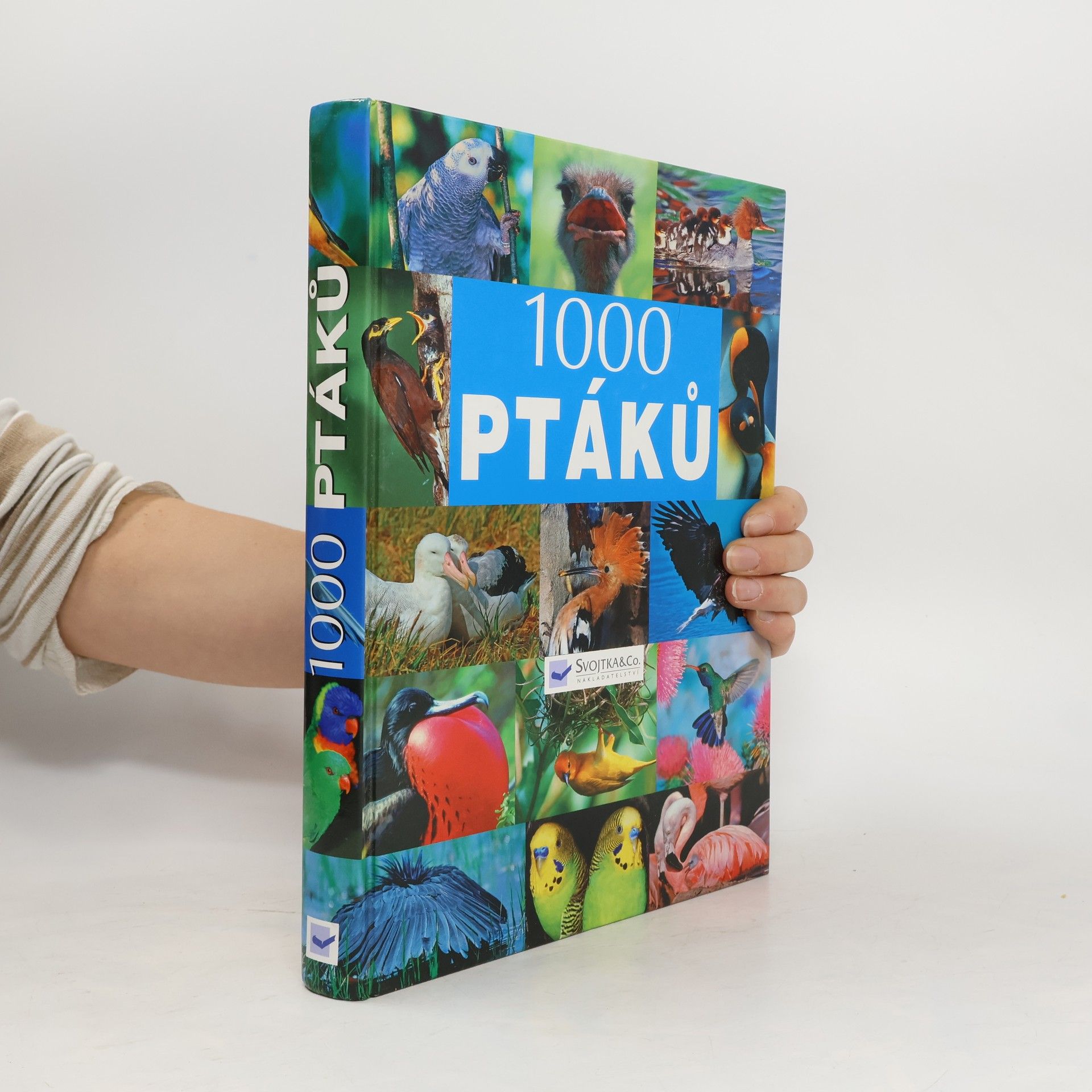 Autorenkollektiv 1000 ptáků