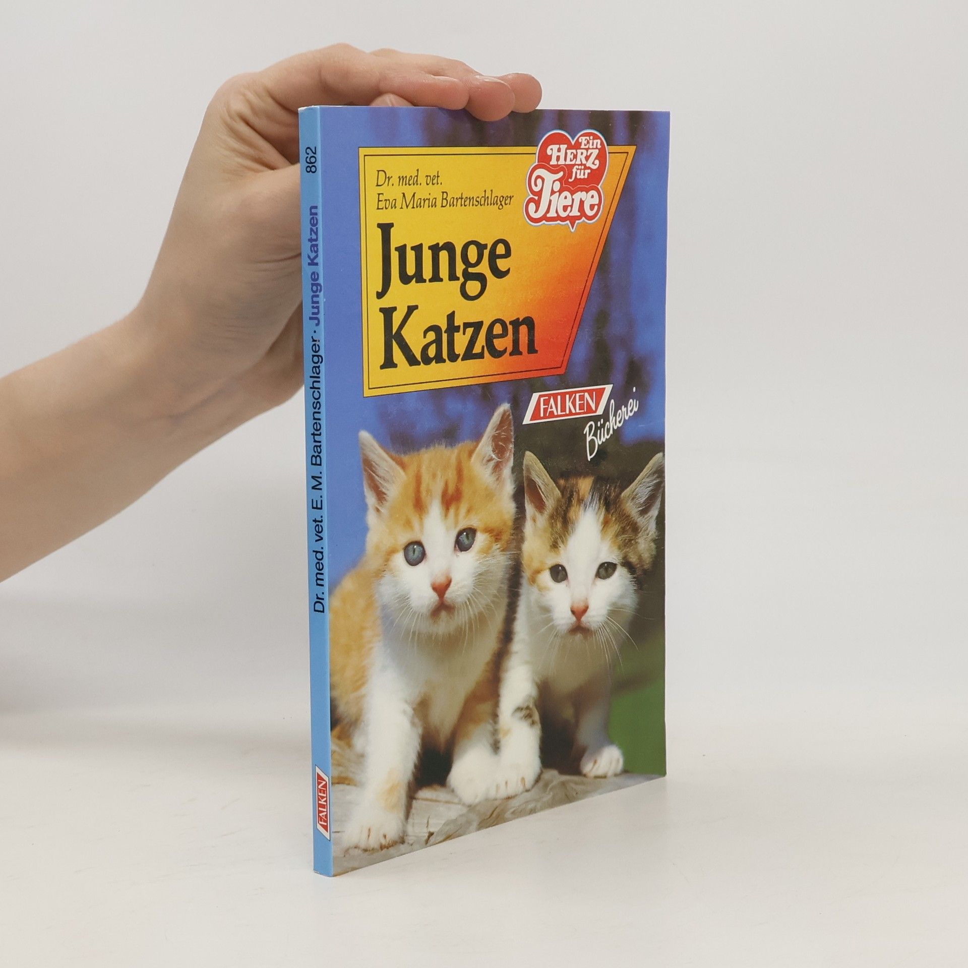 Eva Maria Bartenschlager Junge Katzen