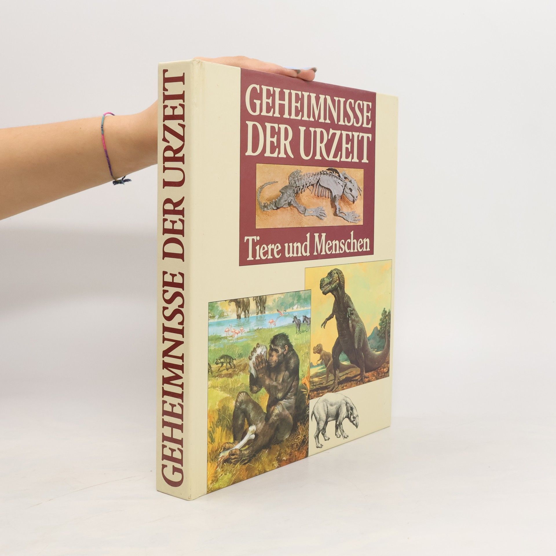 Mario Andreose Die Geheimnisse der Urzeit. Tiere und Menschen