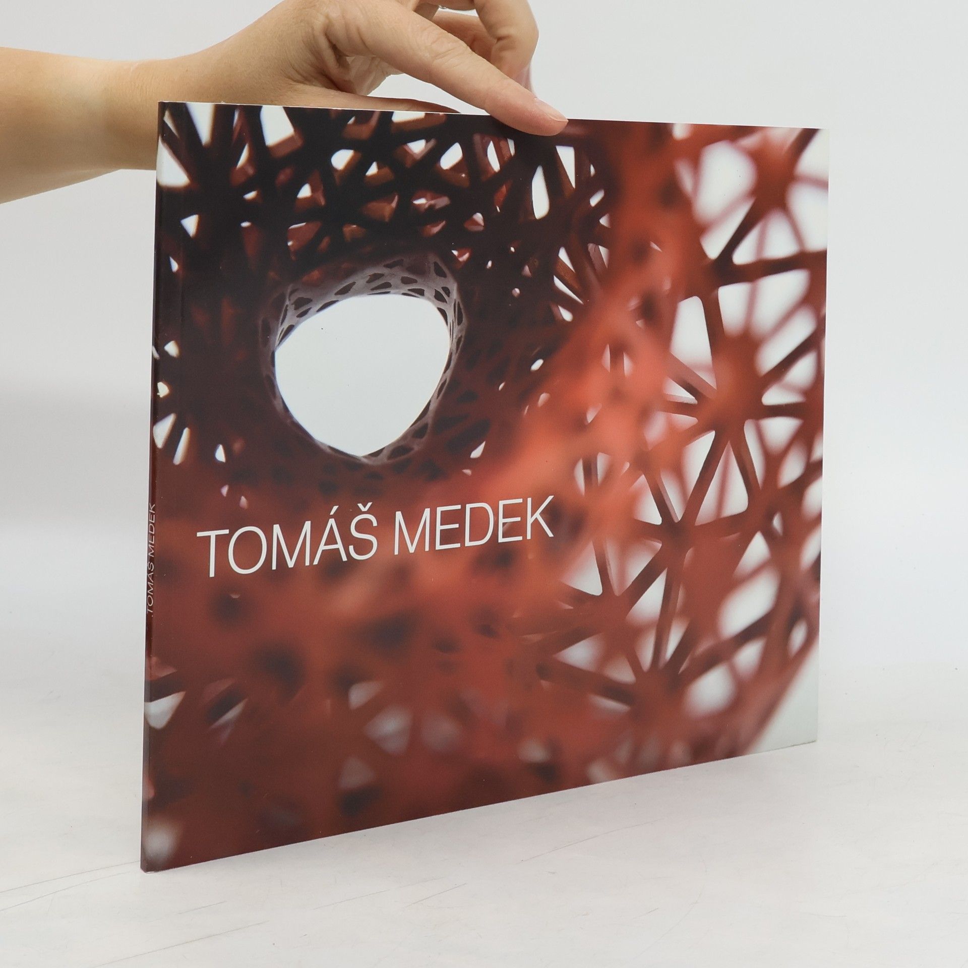 Tomáš Medek Tomáš Medek : prostorové struktry, spatial structures