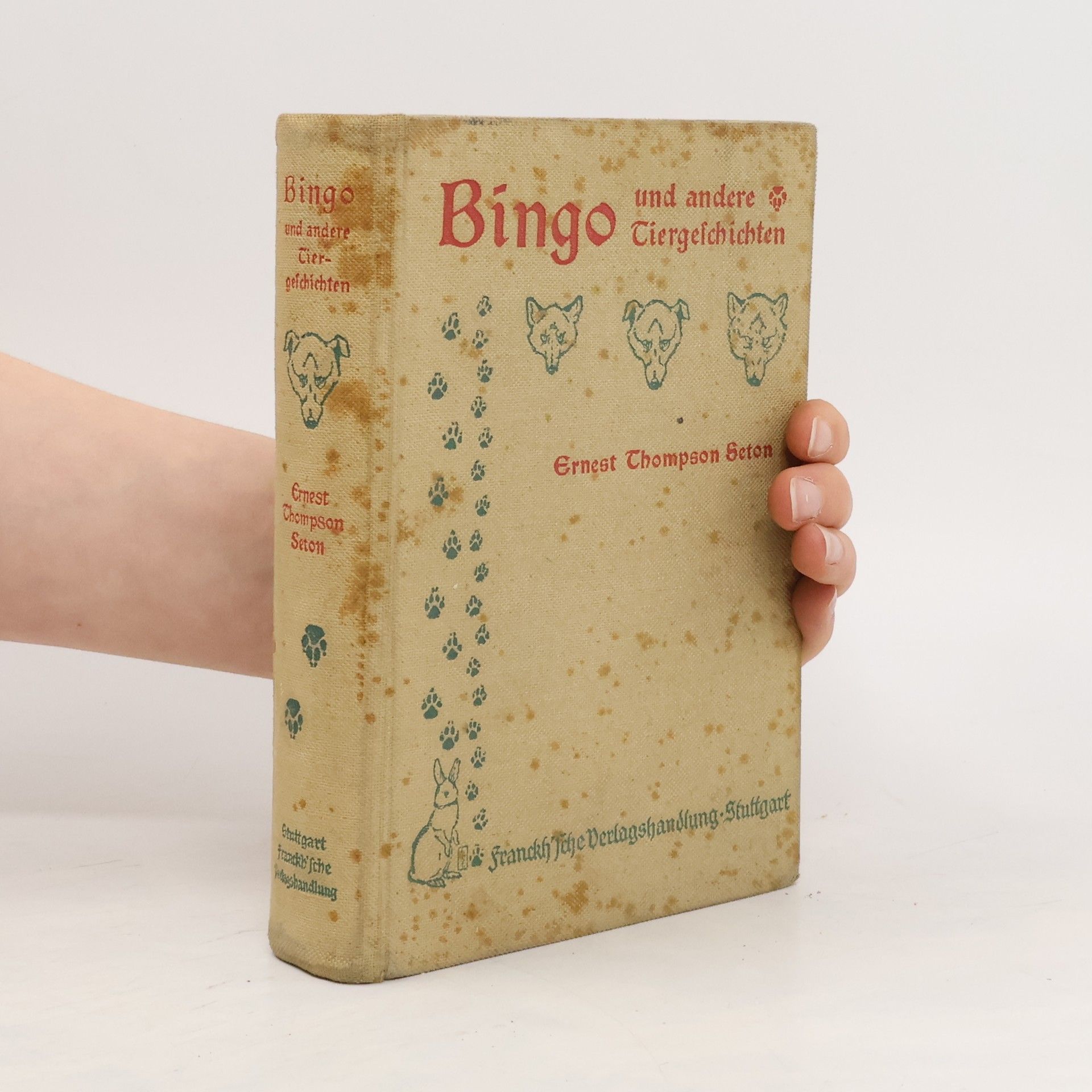 Ernest Thompson Seton Bingo und andere Tiergeschichten