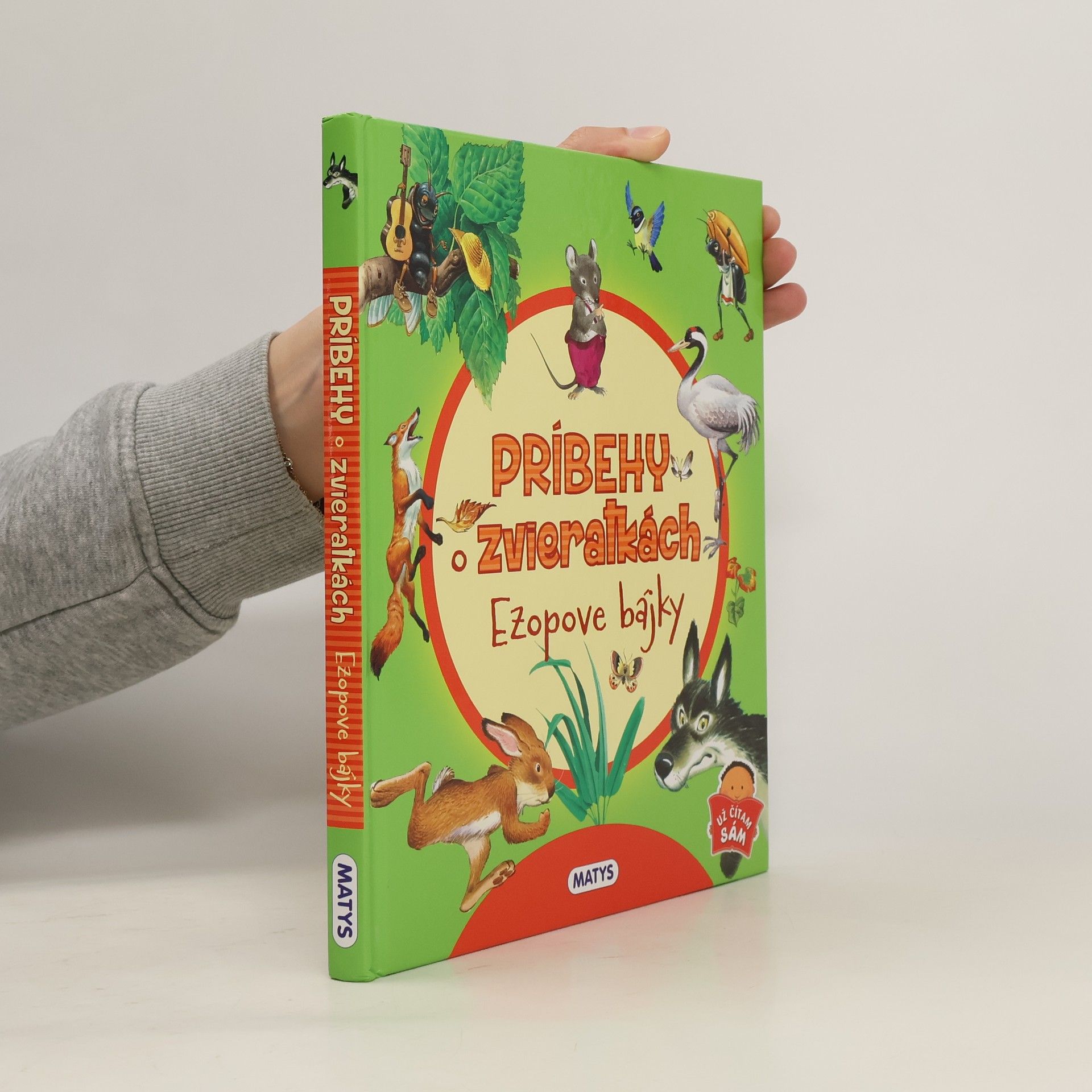 Autorenkollektiv Príbehy o zvieratkách. Ezopove bájky
