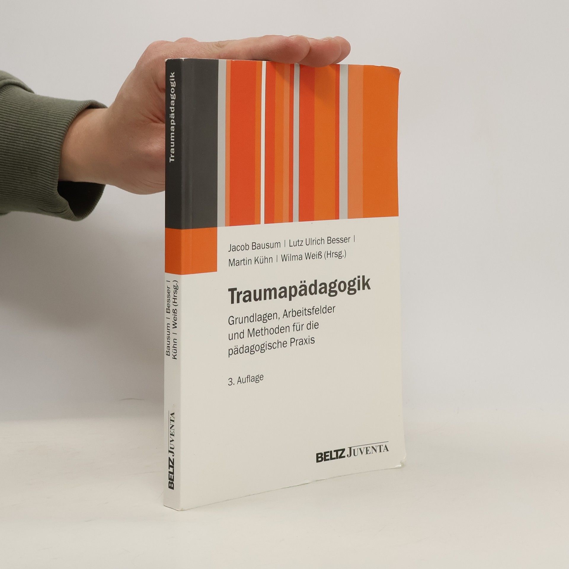 Jacob Bausum Traumapädagogik