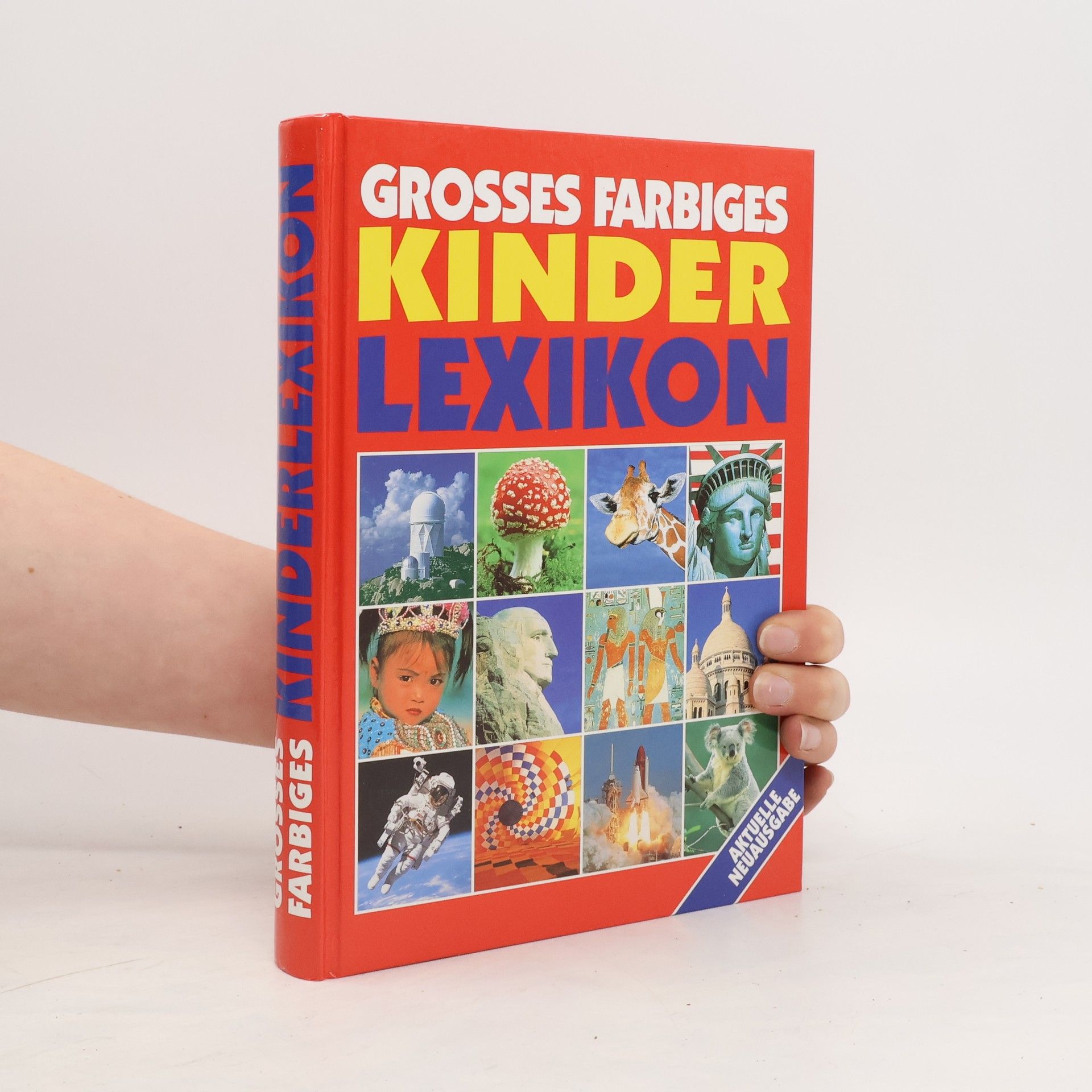Monika Sattrasai Grosses farbiges Kinderlexikon