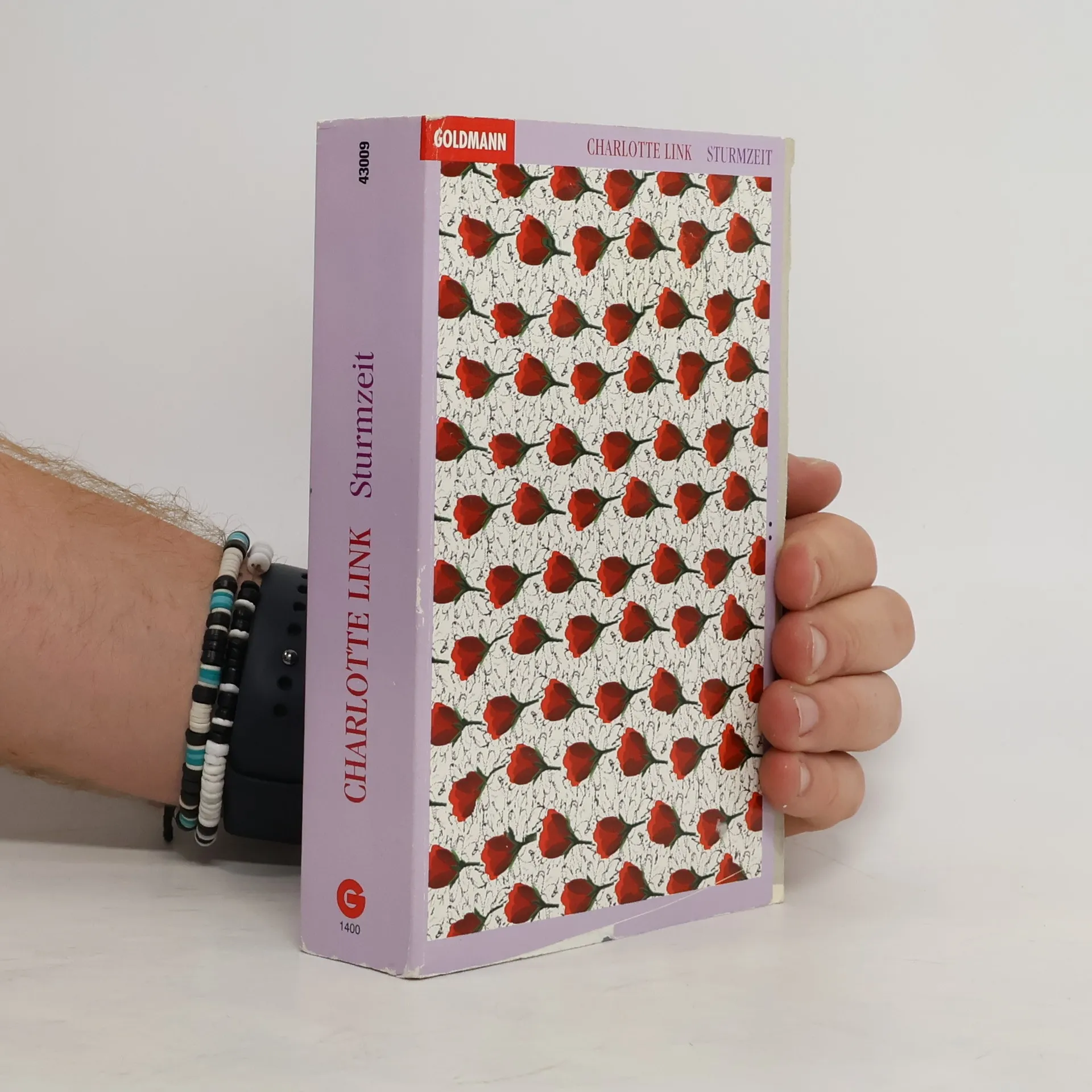 Sturmzeit | Buch | Paperback | Charlotte Link