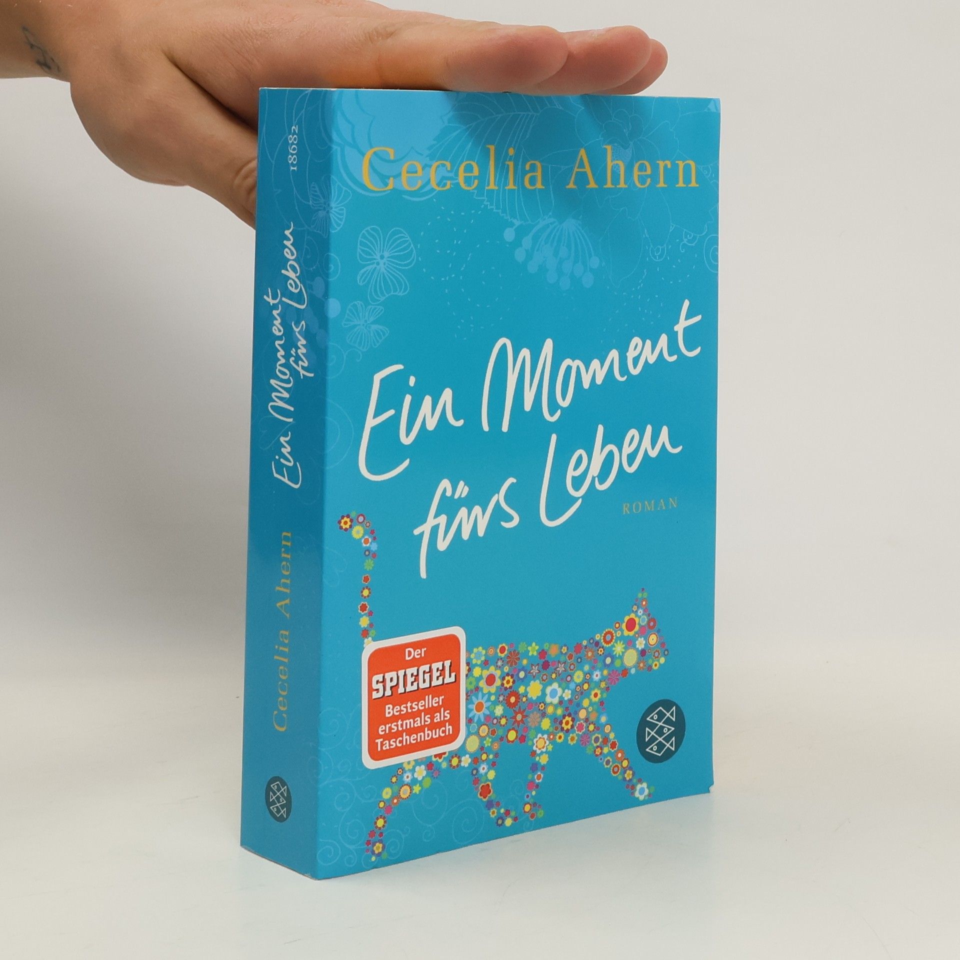 Cecelia Ahern Ein Moment fürs Leben