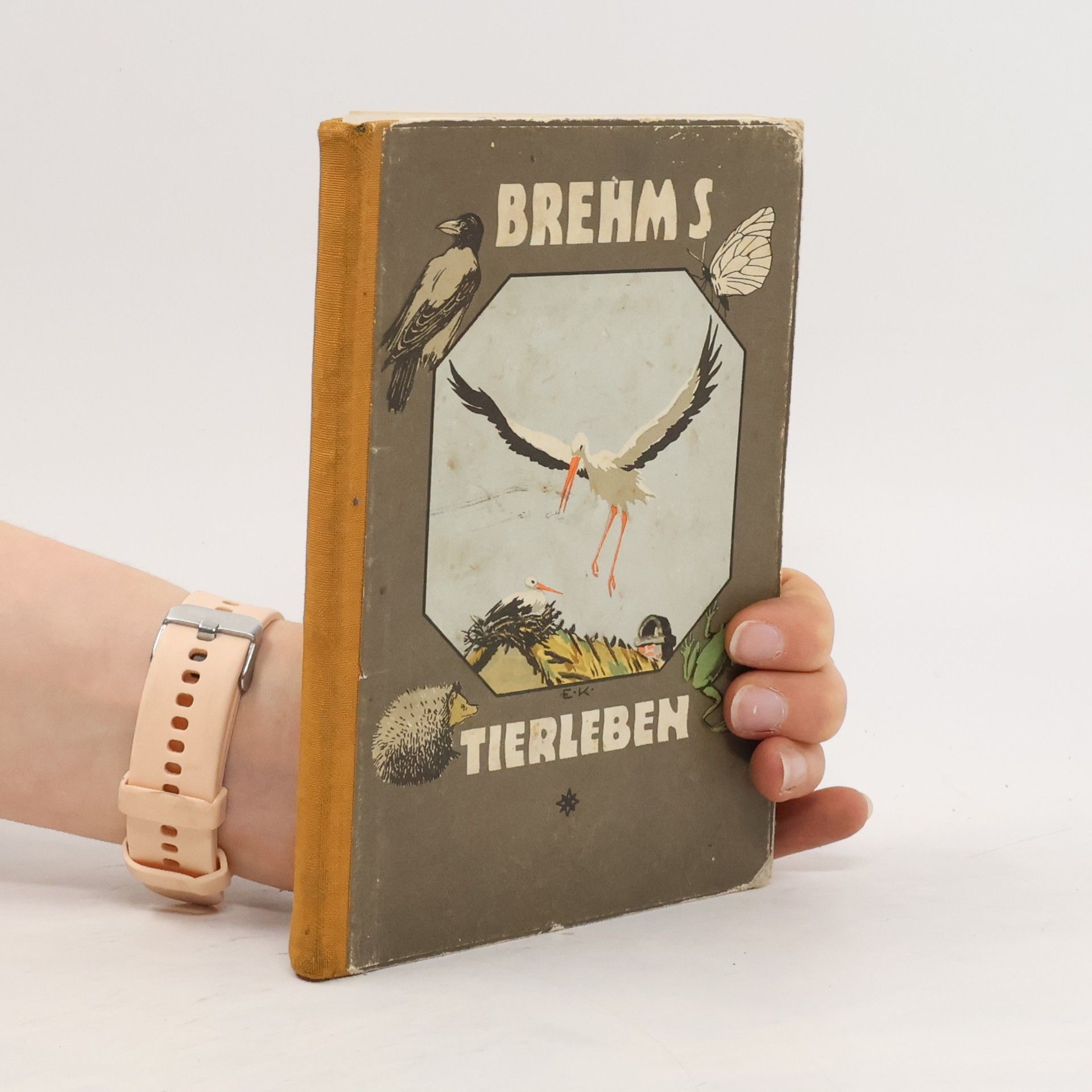 Autorenkollektiv Brehms Tierleben  I. Teil