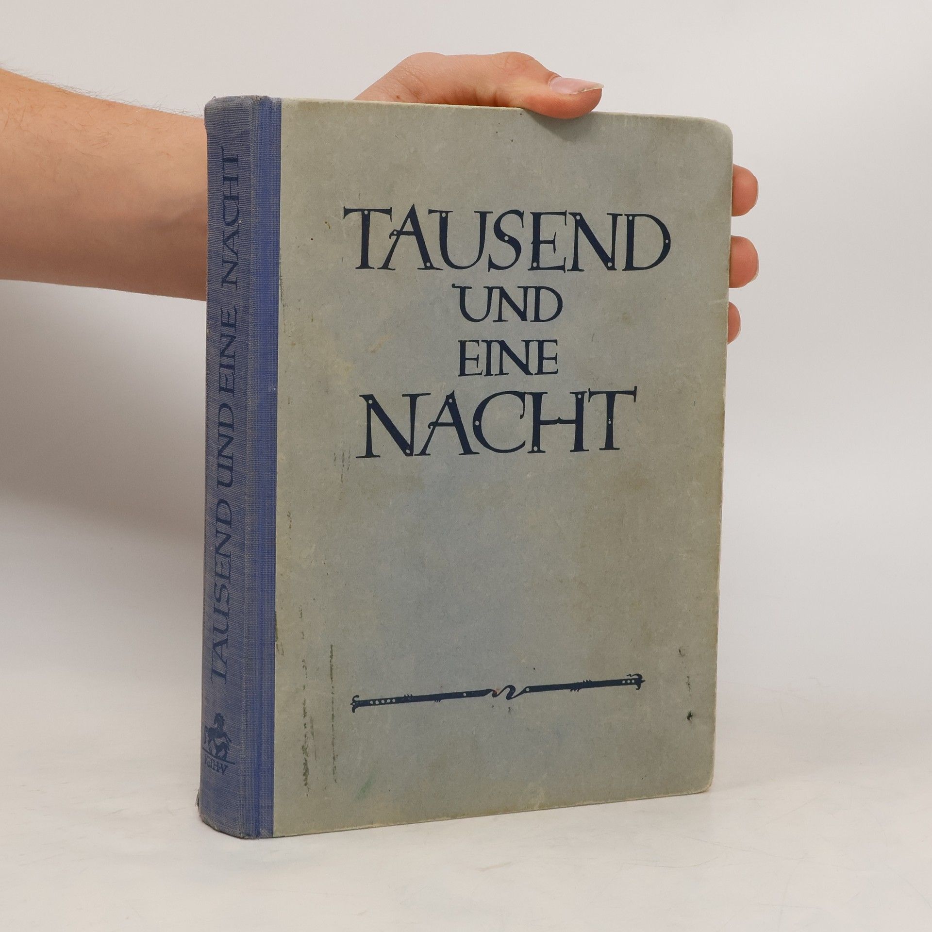 Kolektiv autorů Tausend und eine Nacht