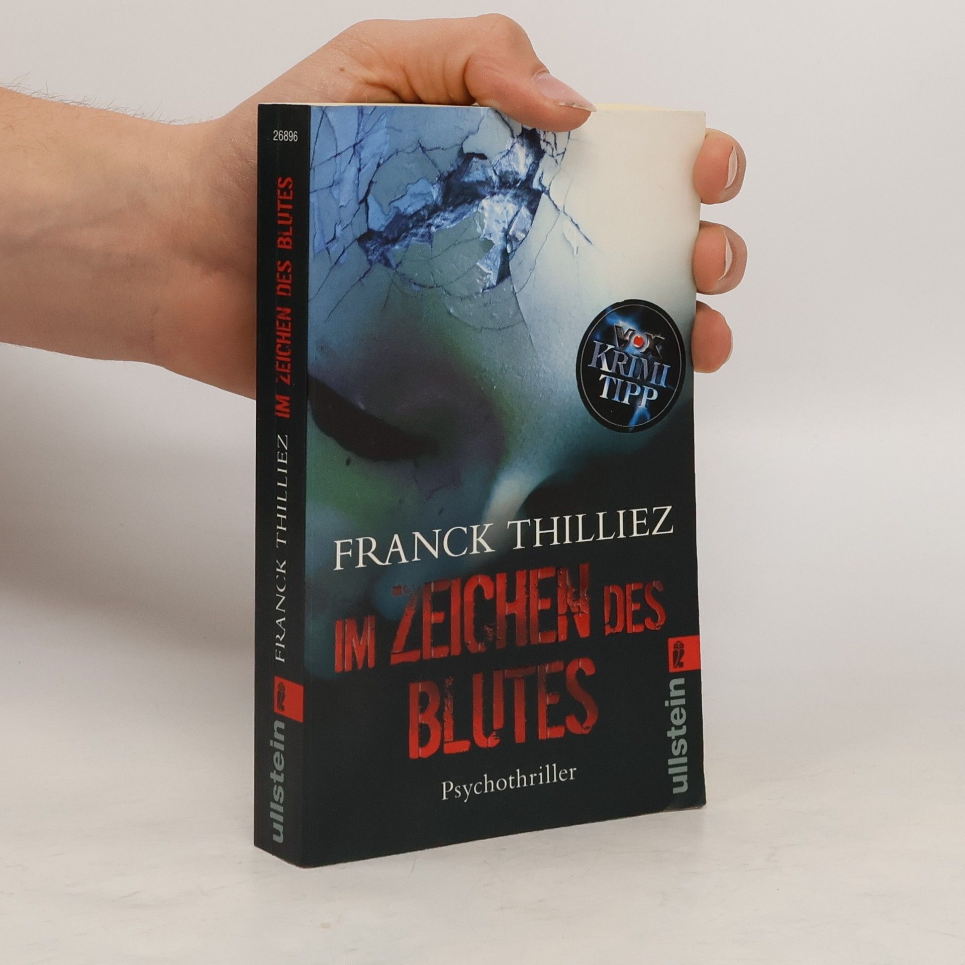 Franck Thilliez Im Zeichen des Blutes