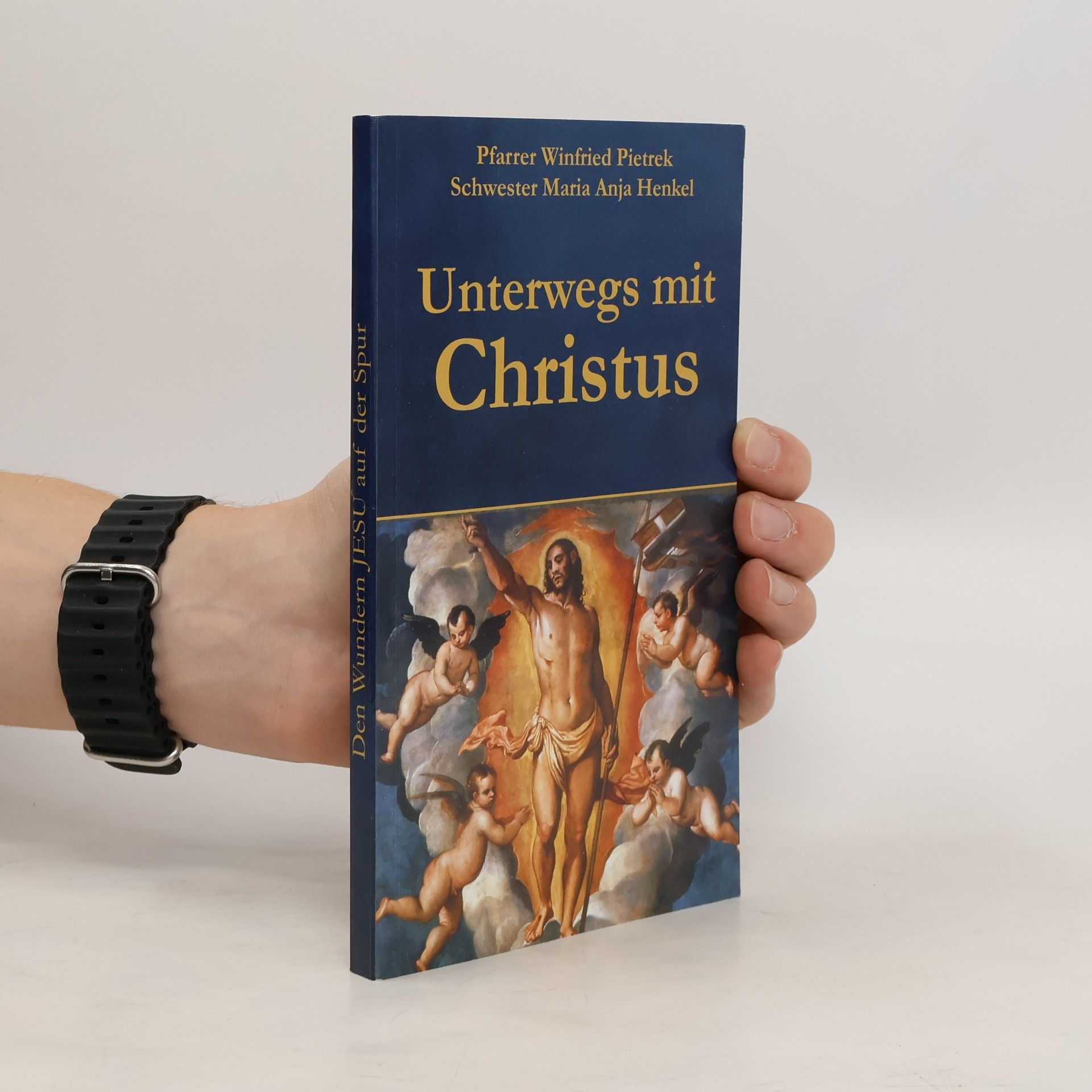 Pfarrer Winfried Pietrek Den Wundern Jesu auf der Spur: Unterwegs mit Christus