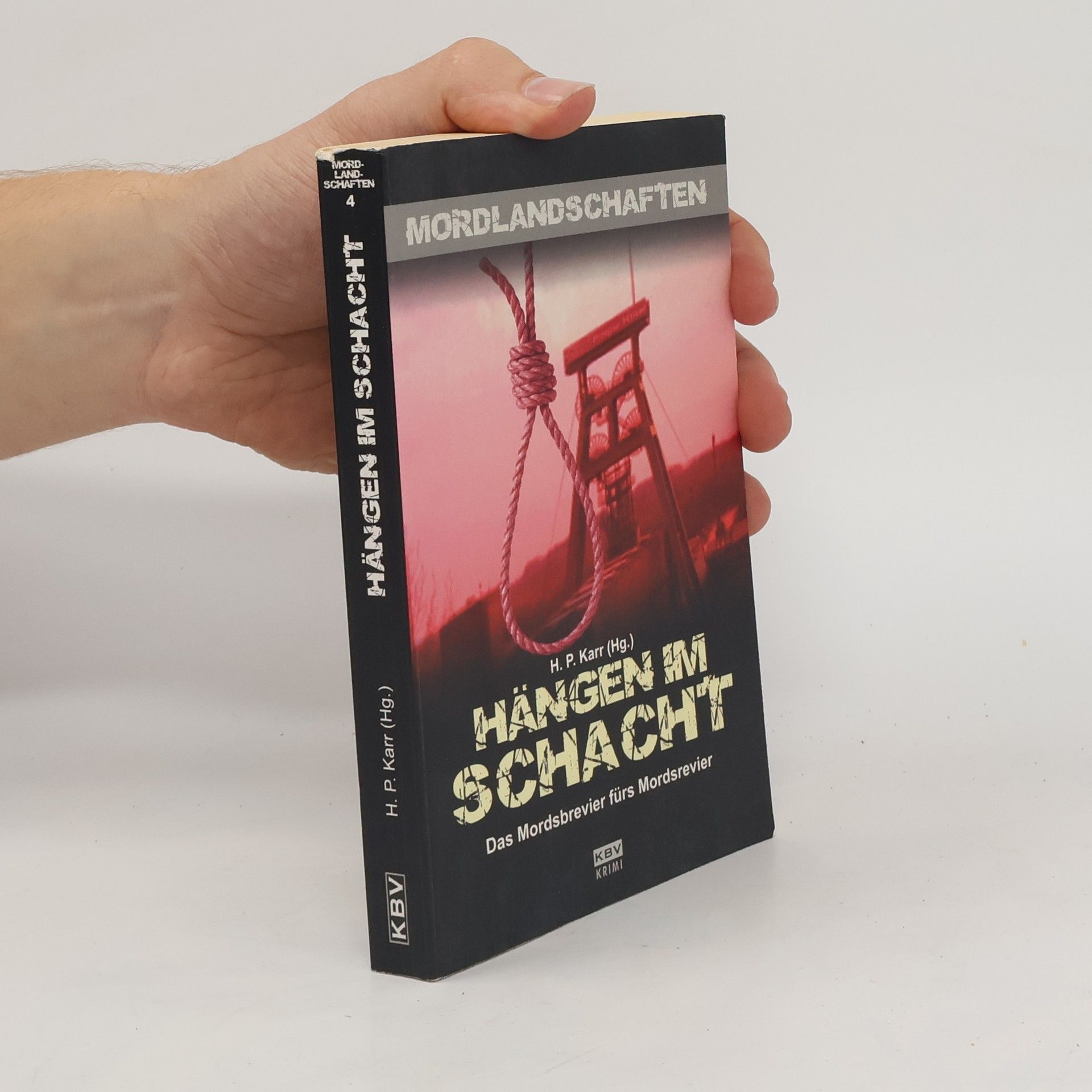 Hanns-Peter Karr Hängen im Schacht