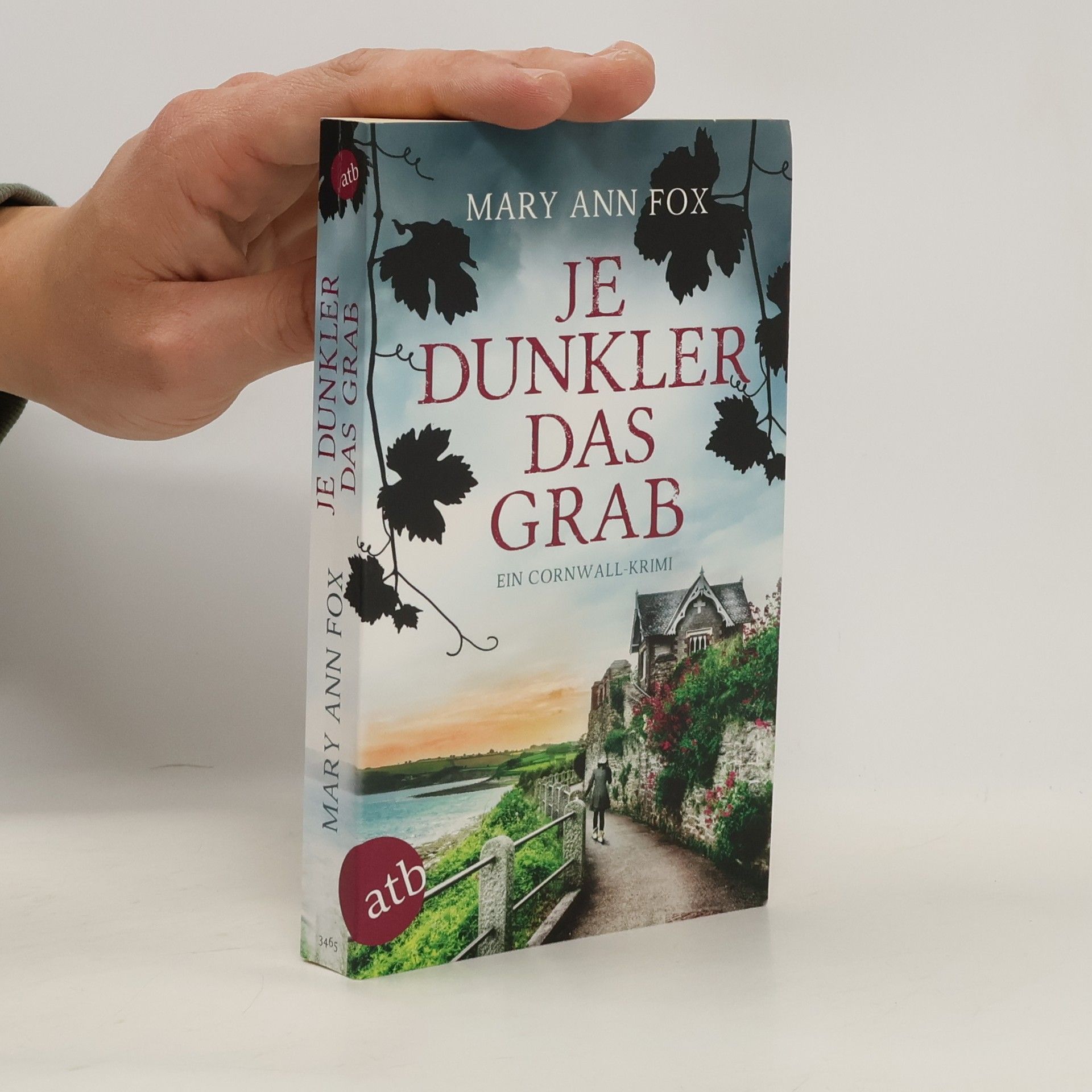 Mary Ann Fox Je dunkler das Grab