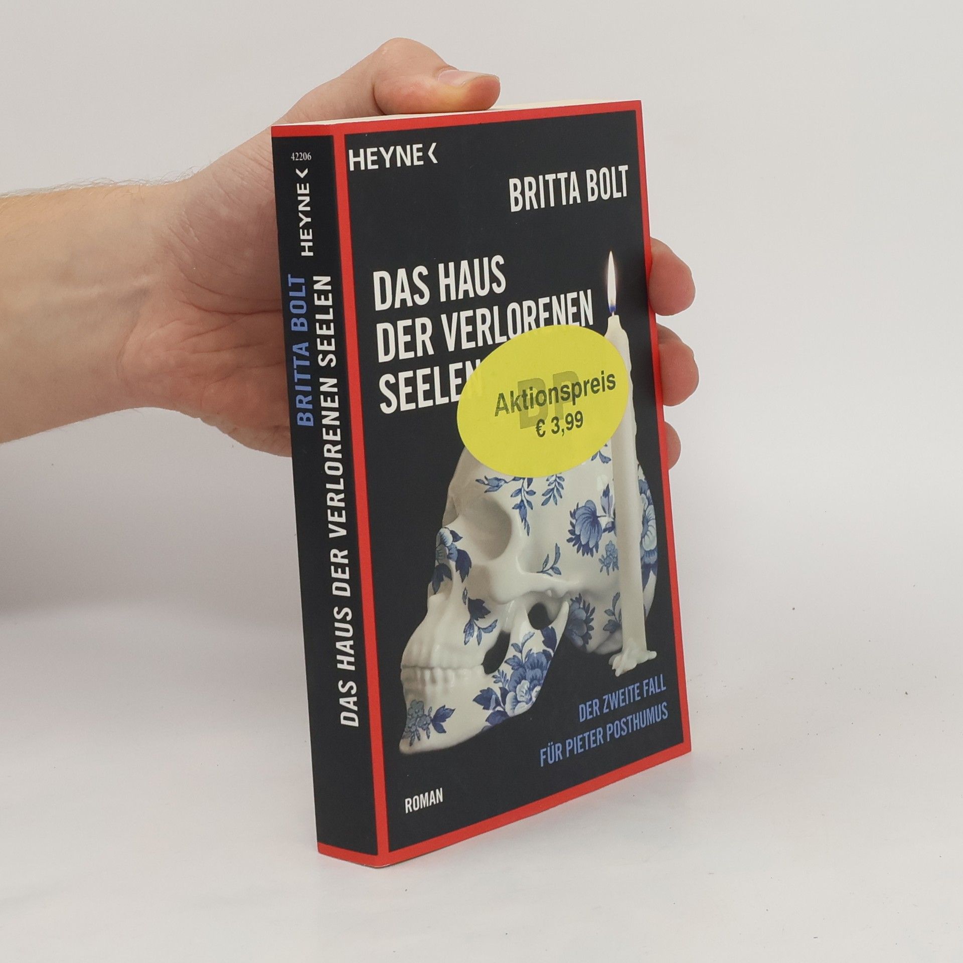 Britta Bolt Das Haus der verlorenen Seelen