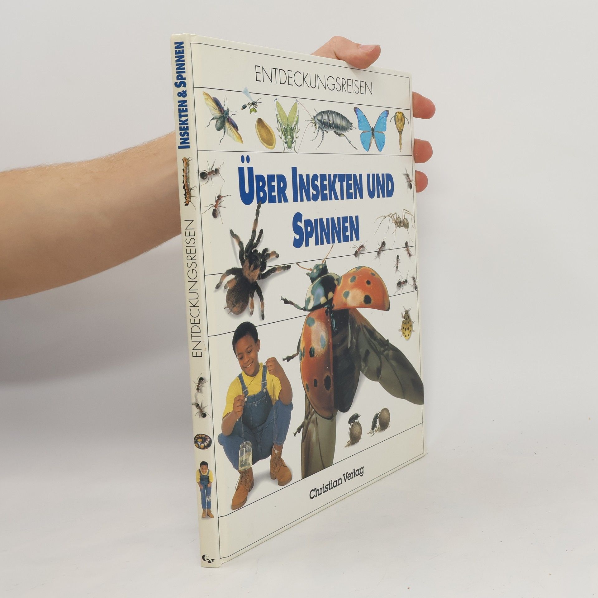 Rosemary MacCormick Über Insekten und Spinnen